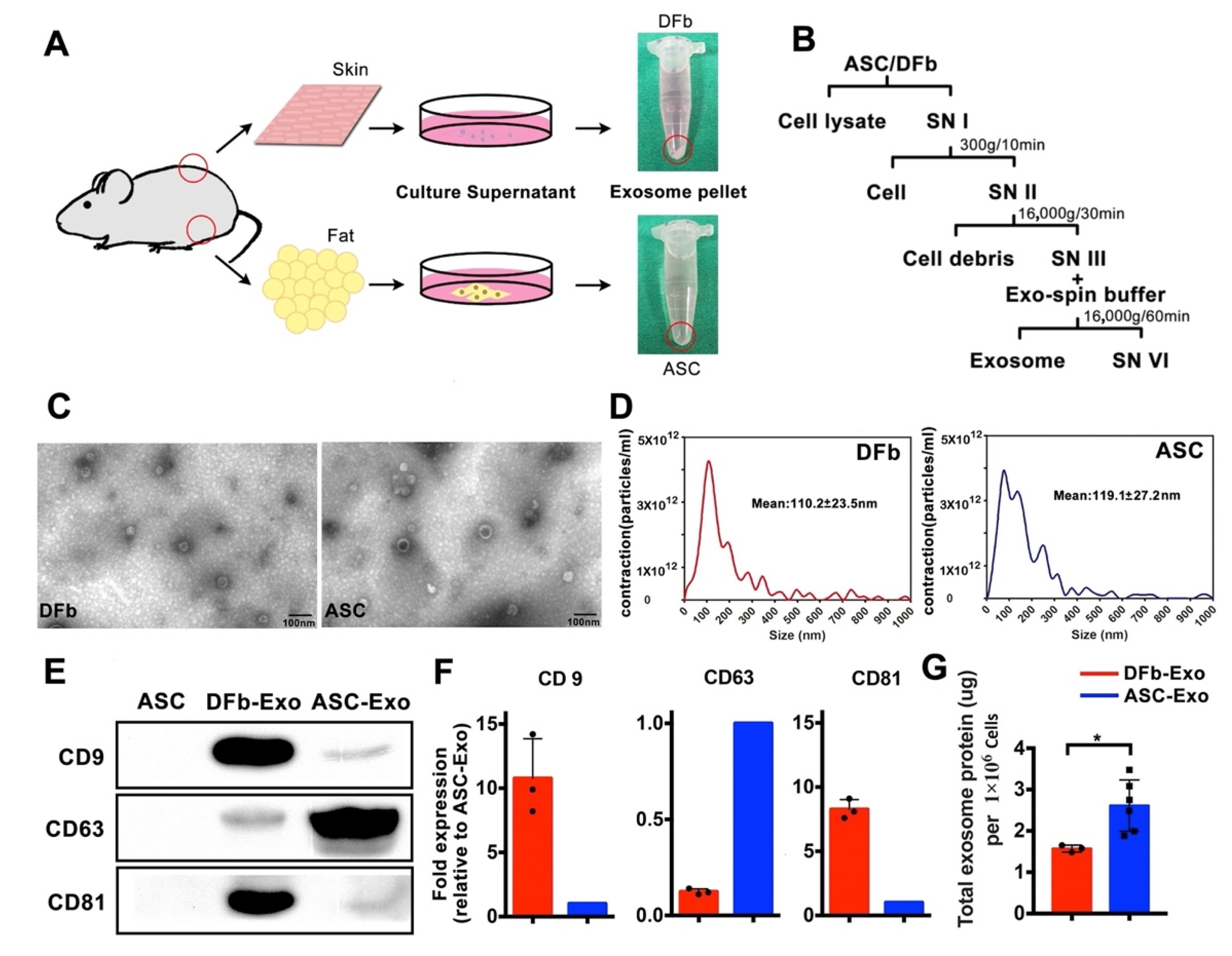 Pharmaceutics 14 01206 g001