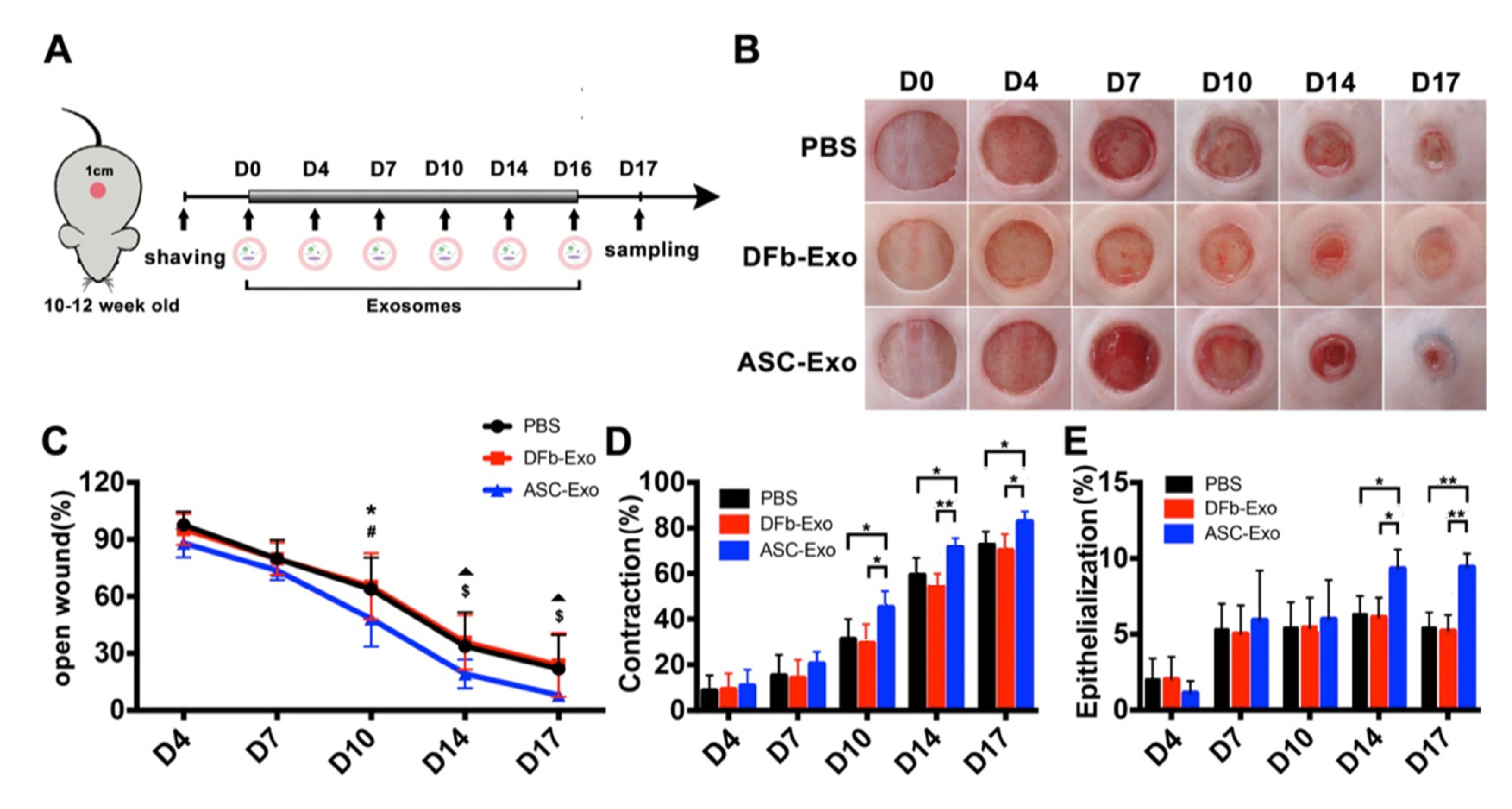 Pharmaceutics 14 01206 g003