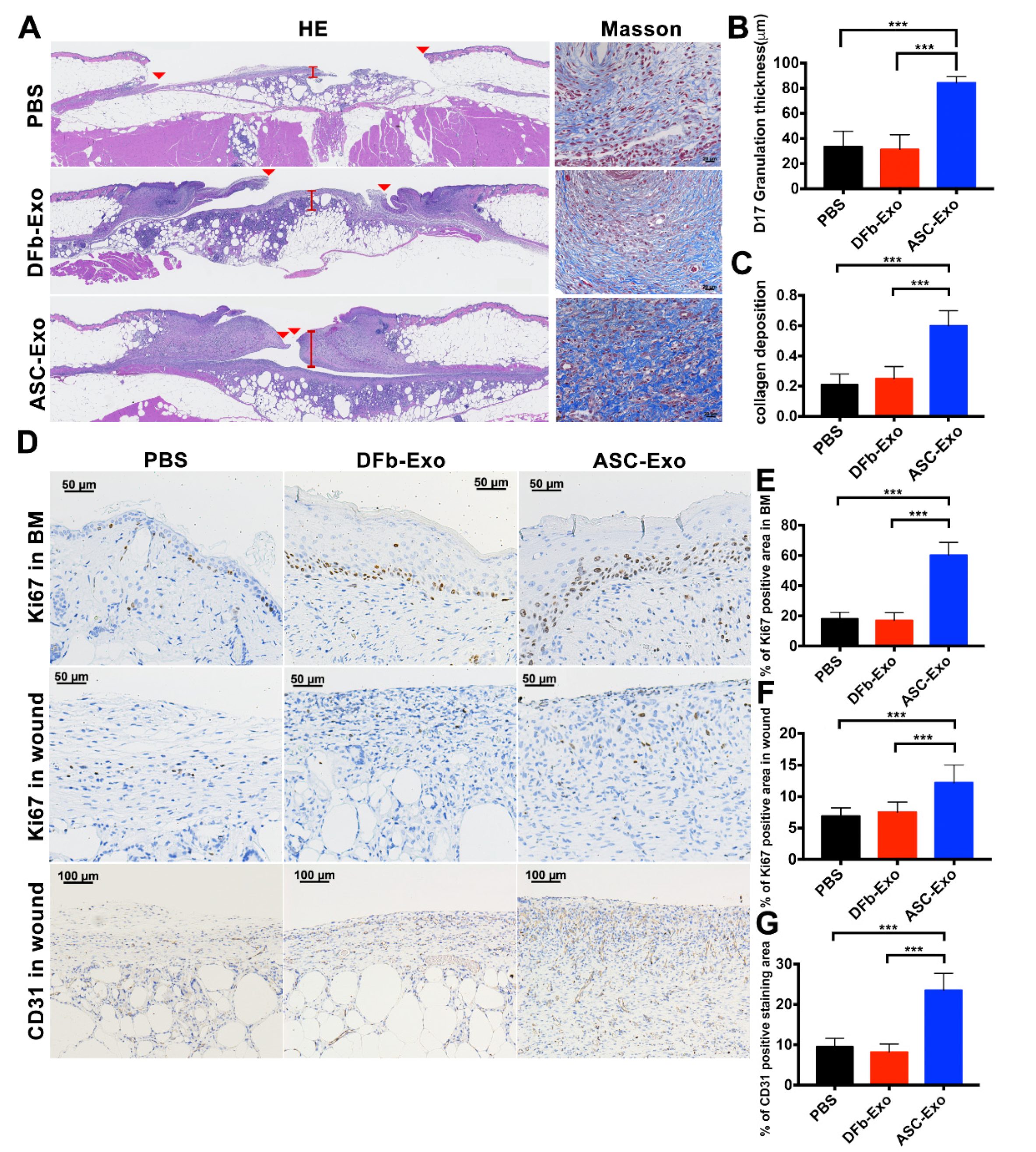 Pharmaceutics 14 01206 g004