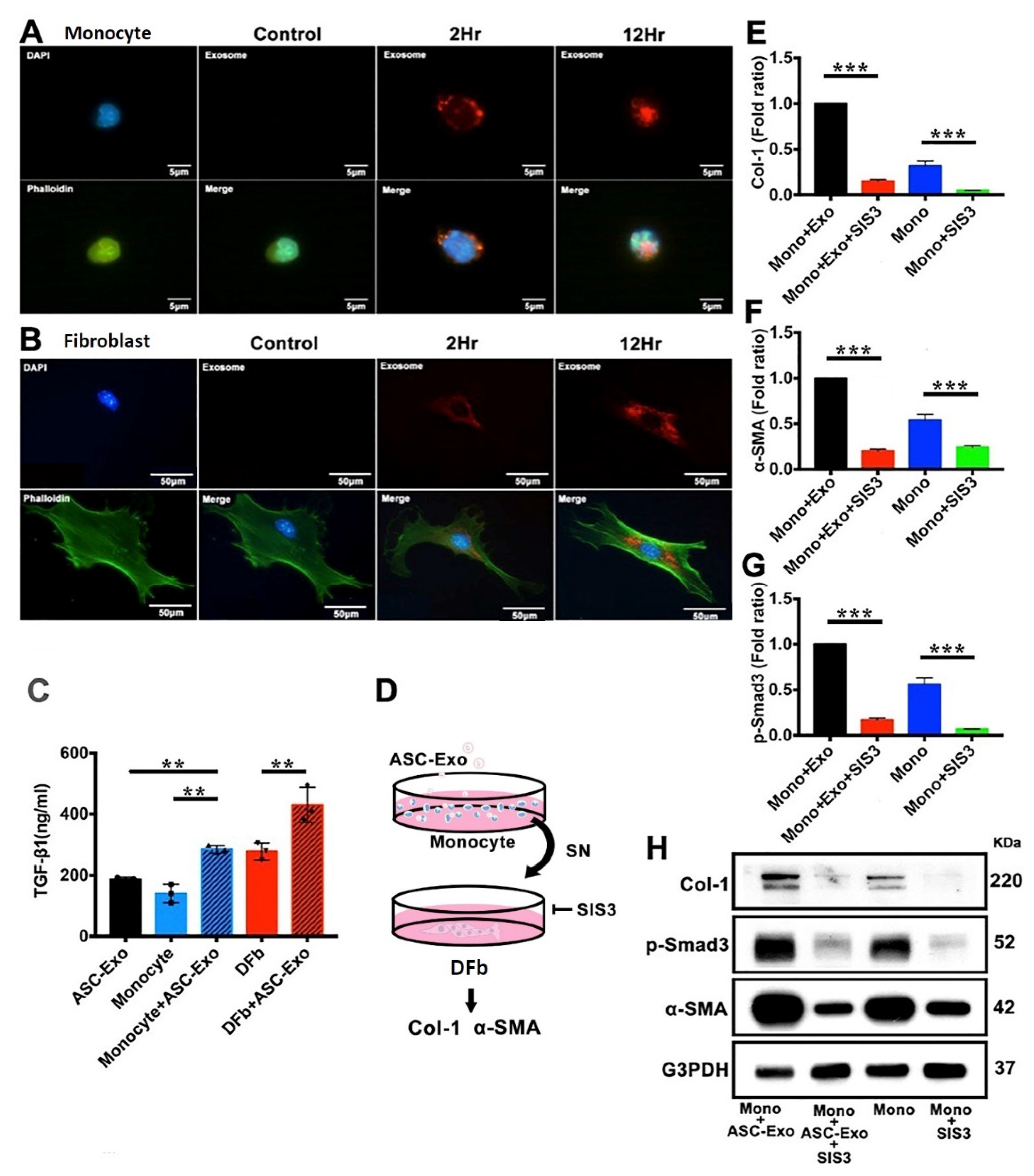Pharmaceutics 14 01206 g006