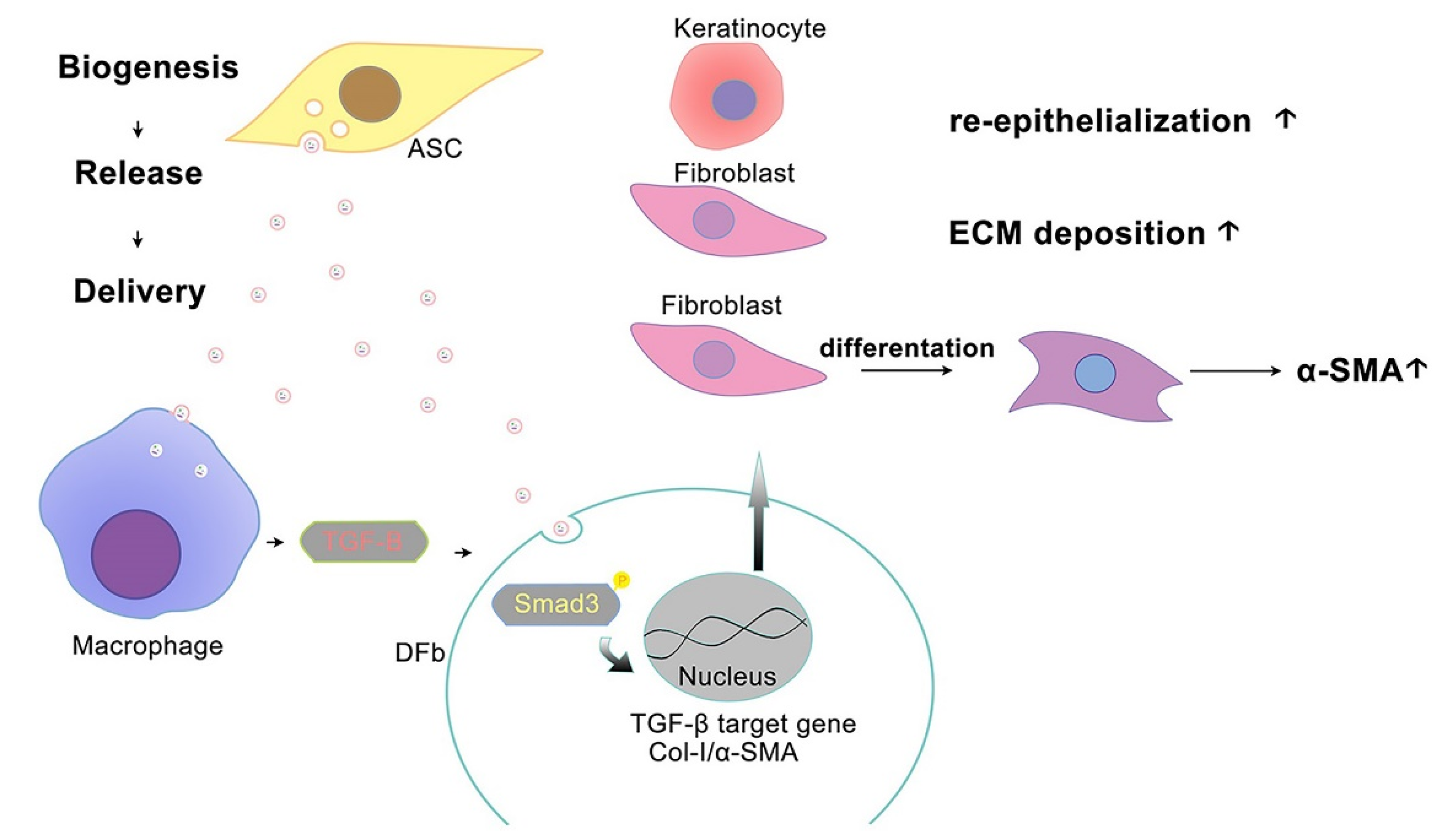 Pharmaceutics 14 01206 g007