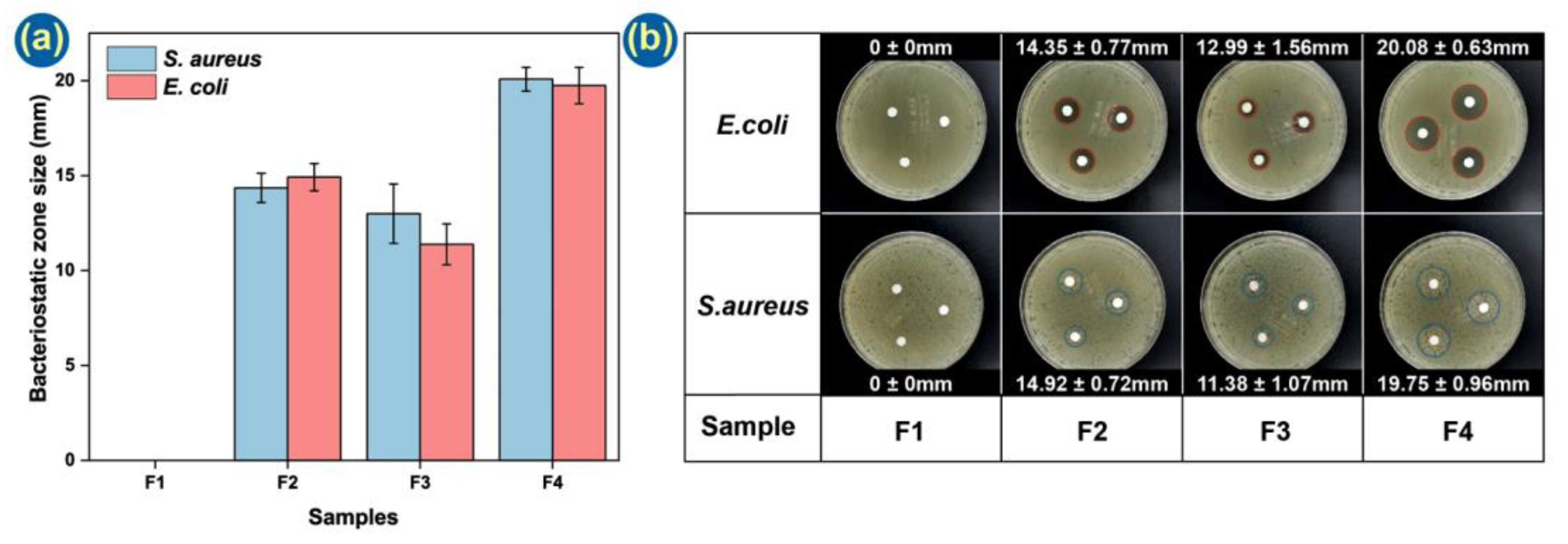 Pharmaceutics 14 01208 g008 Pharmaceutics 14 01208 g008