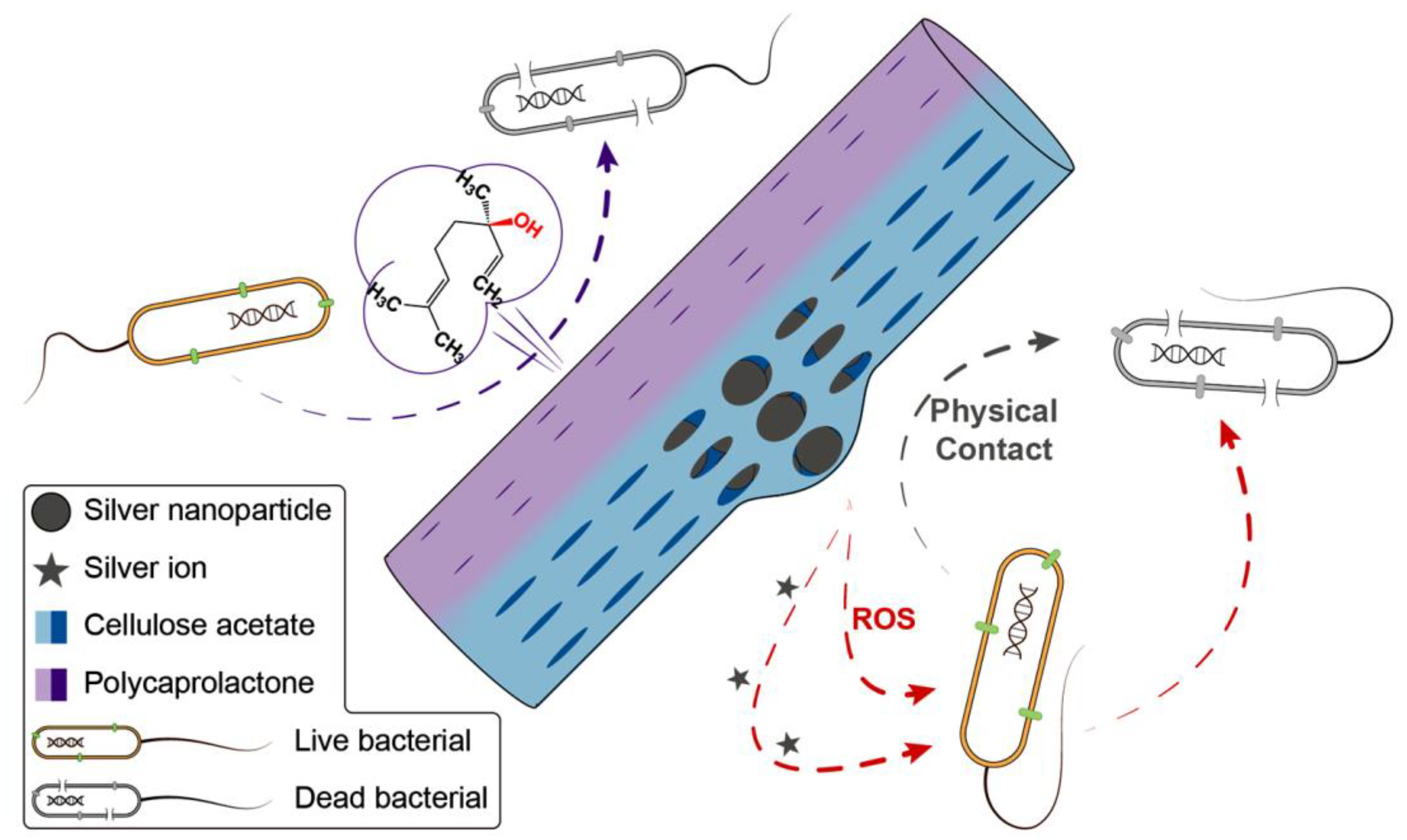Pharmaceutics 14 01208 g009 Pharmaceutics 14 01208 g009