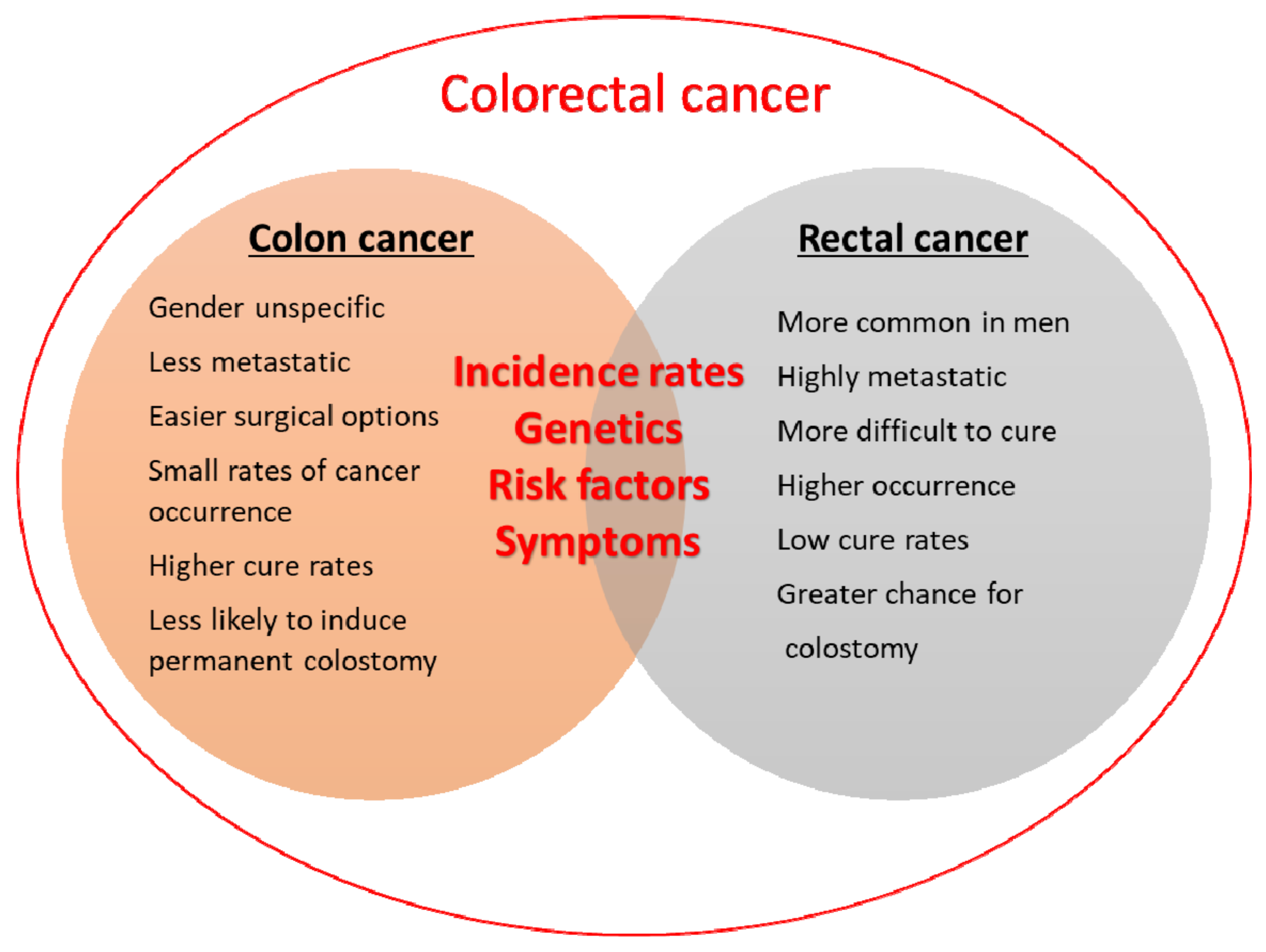 Pharmaceutics 14 01213 g001