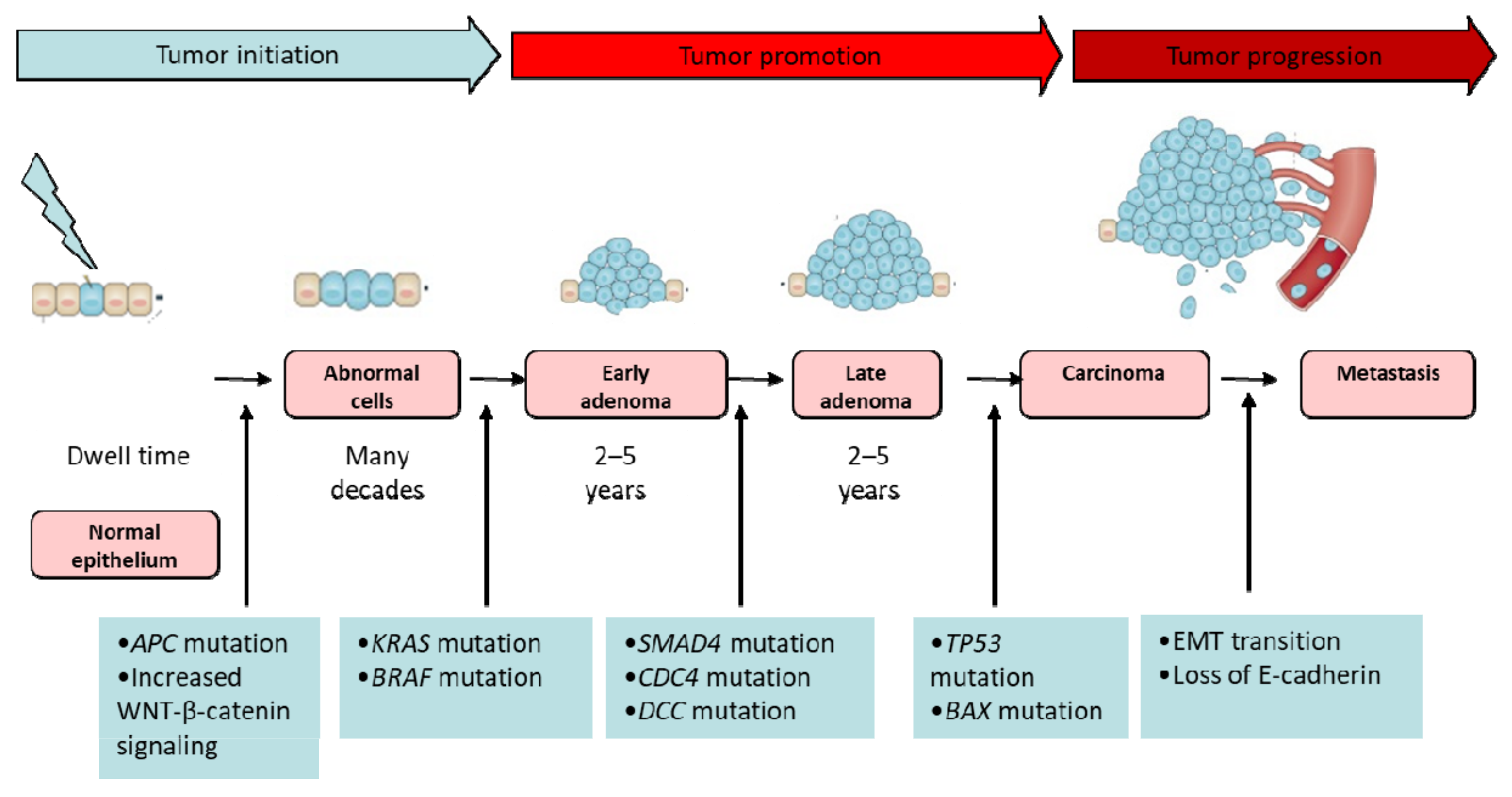 Pharmaceutics 14 01213 g002