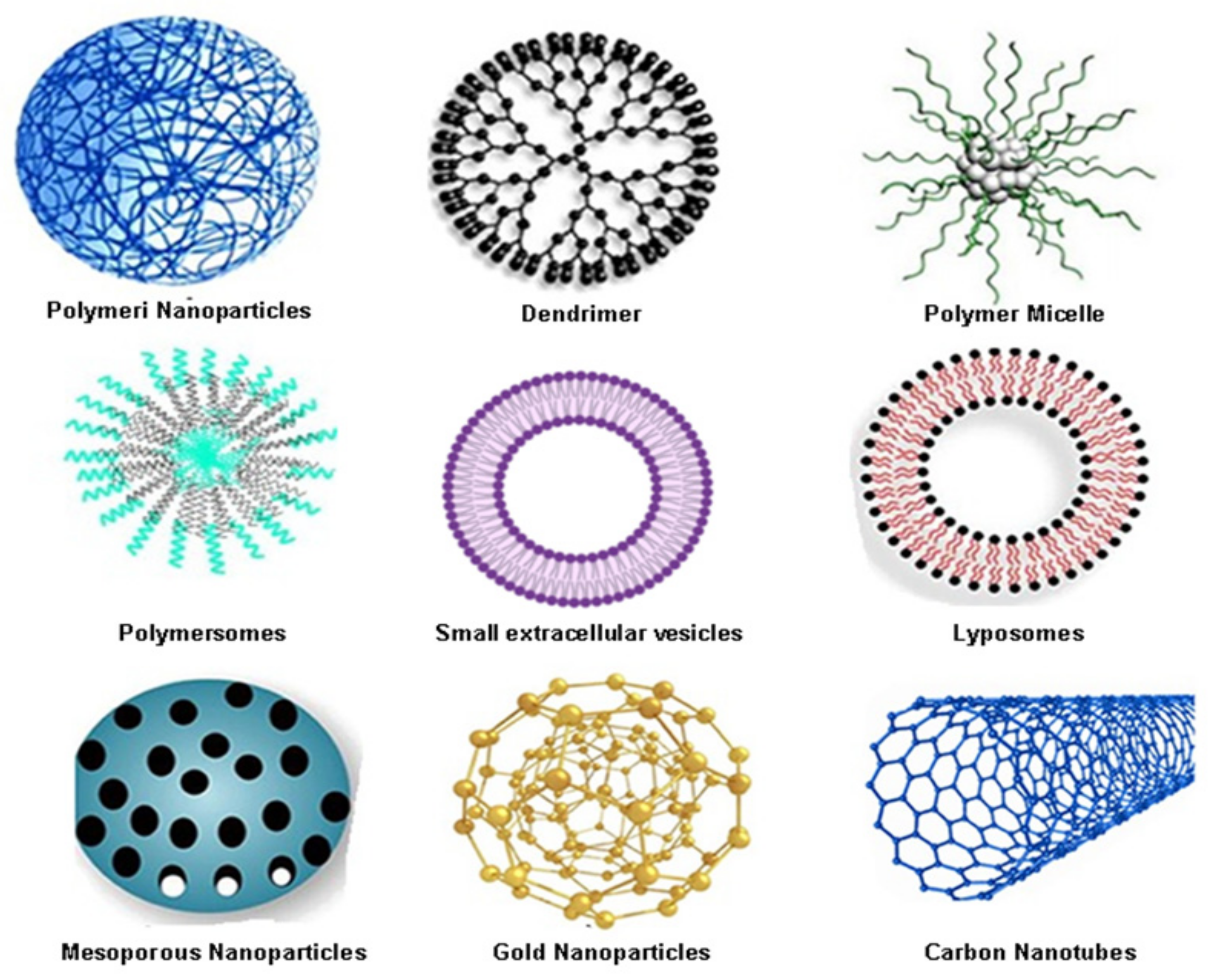 Pharmaceutics 14 01213 g003
