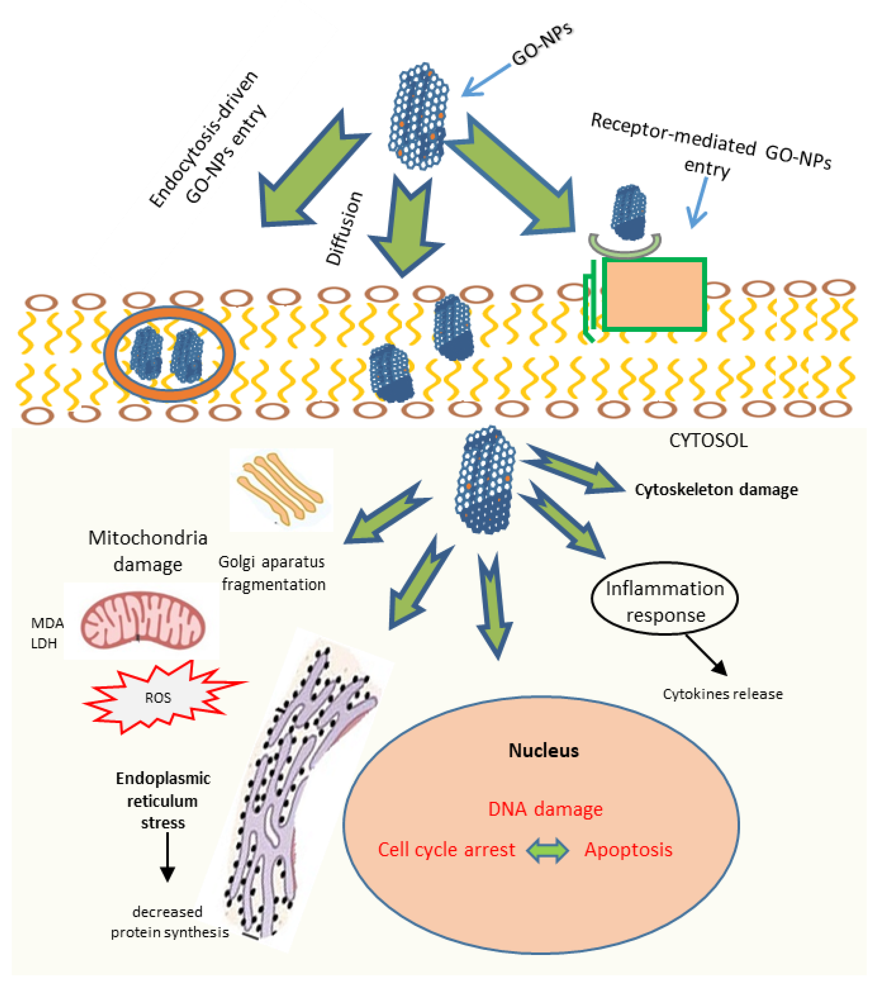 Pharmaceutics 14 01213 g004