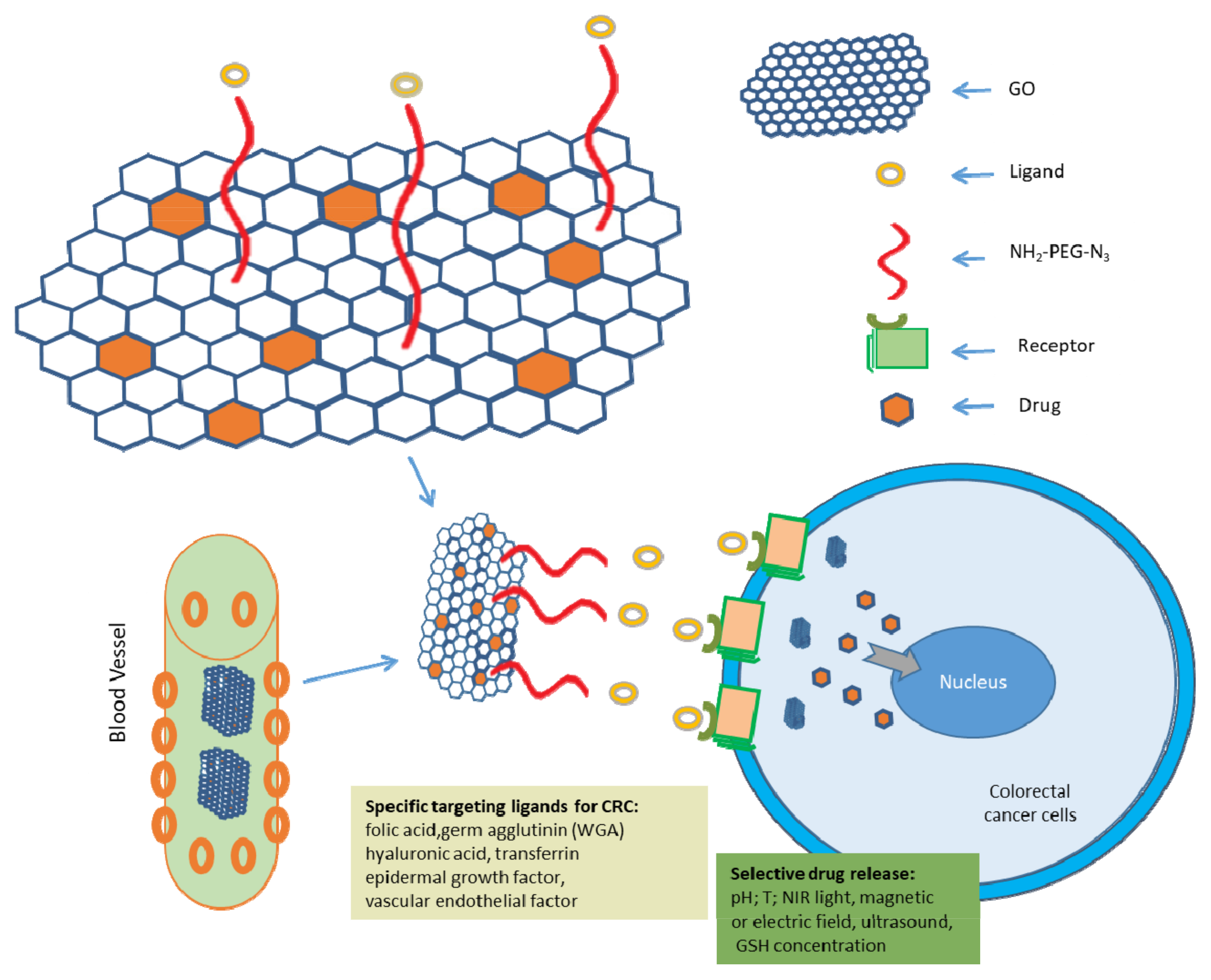 Pharmaceutics 14 01213 g005