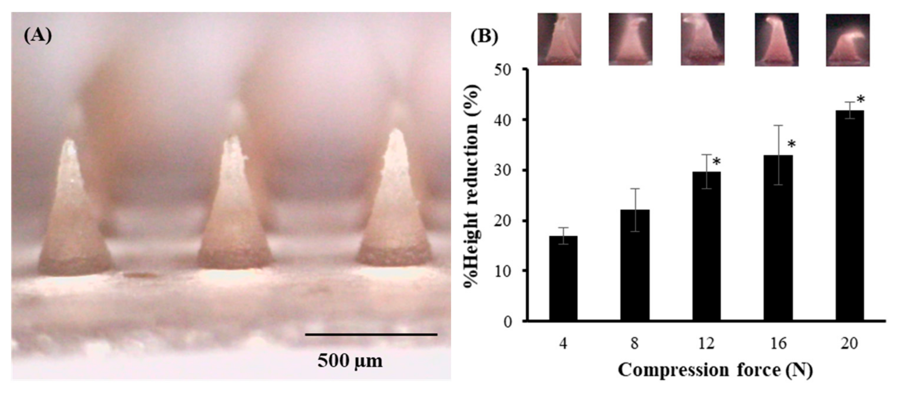 Pharmaceutics 14 01221 g006