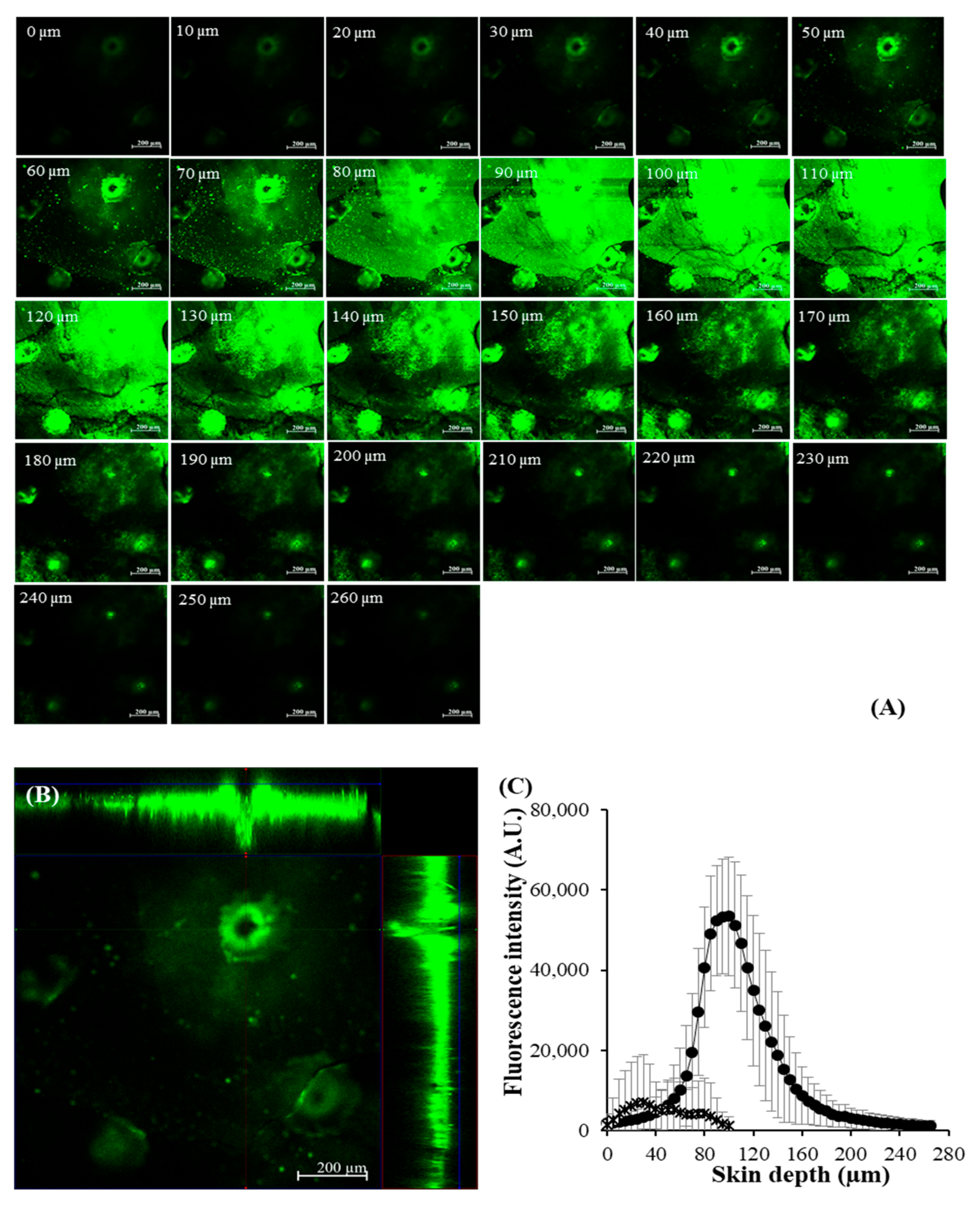 Pharmaceutics 14 01221 g008