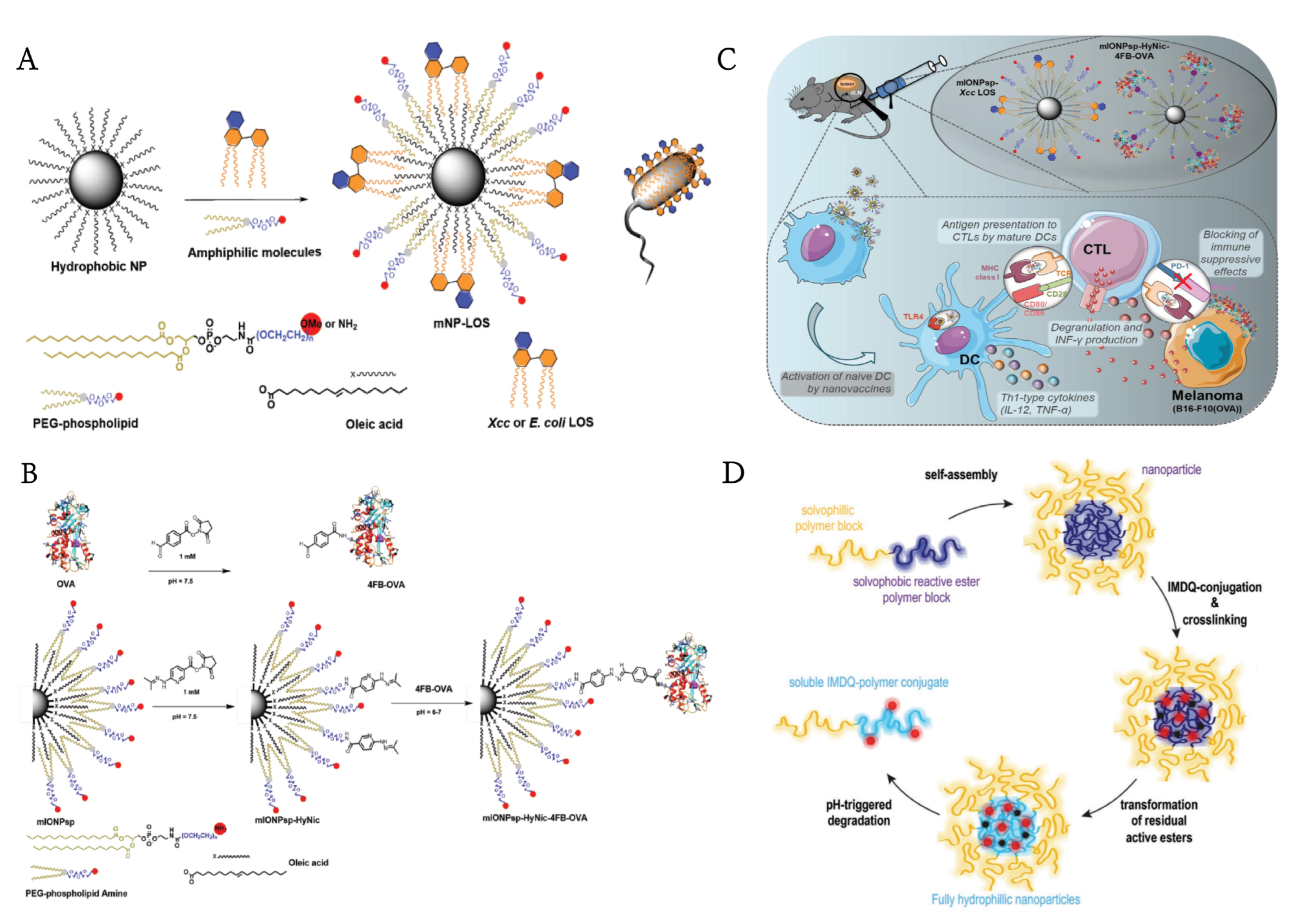 Pharmaceutics 14 01228 g003