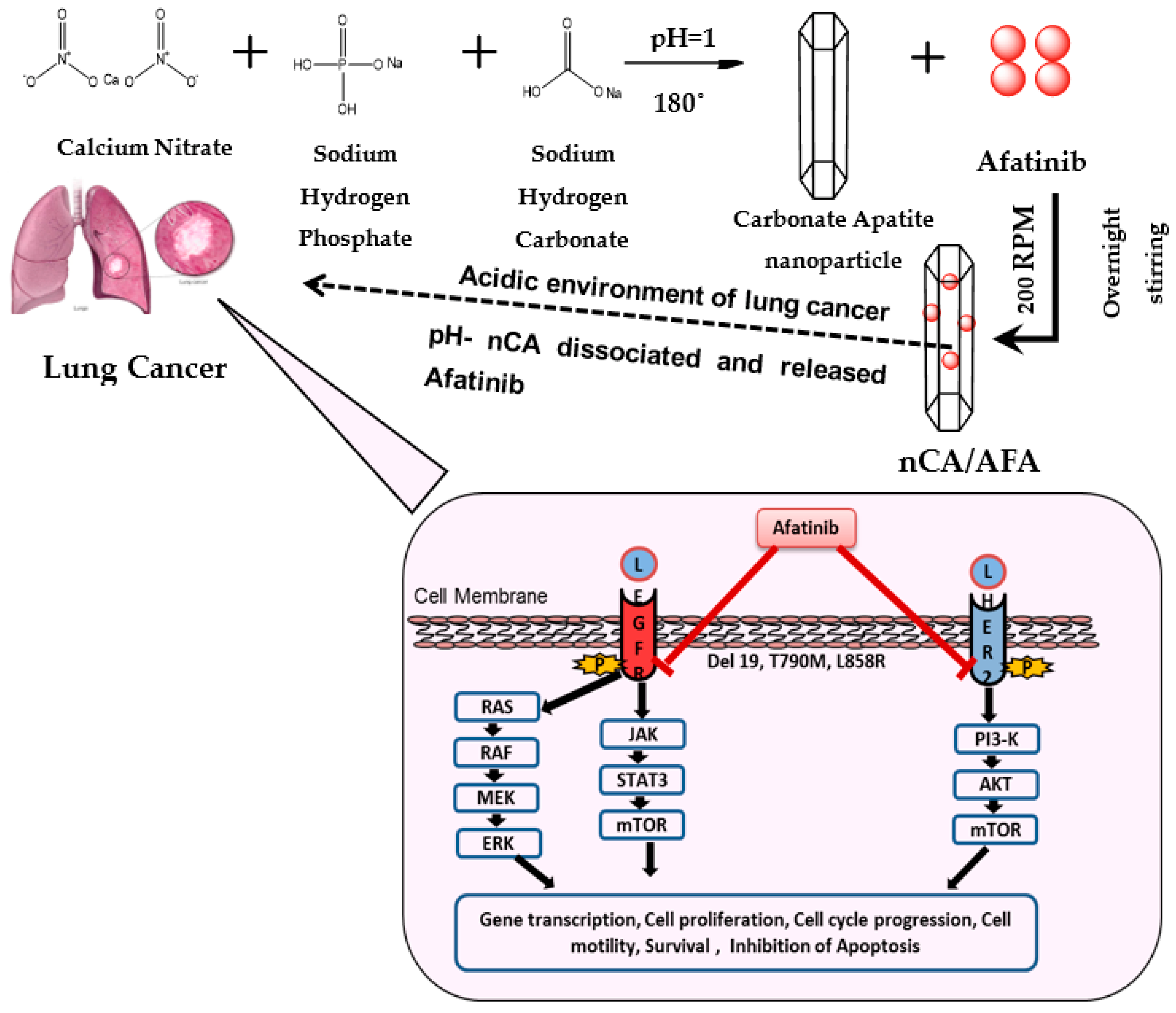 Pharmaceutics 14 01230 g001