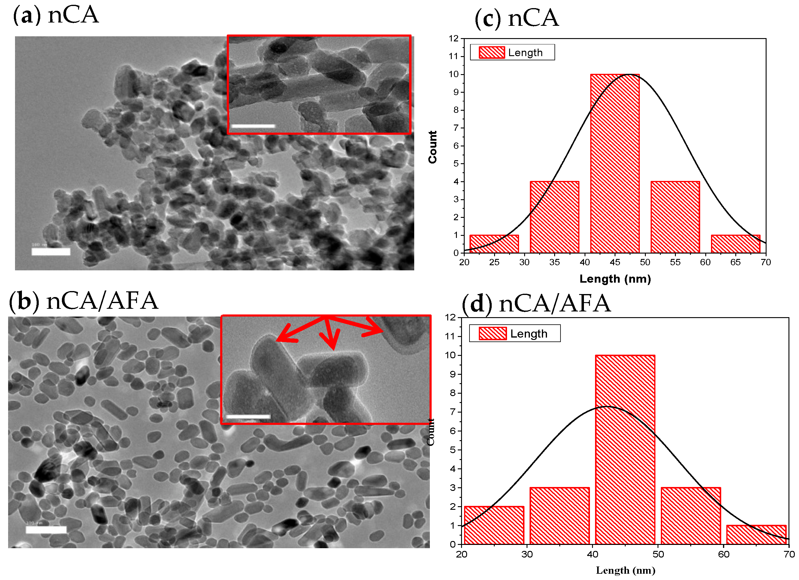 Pharmaceutics 14 01230 g004