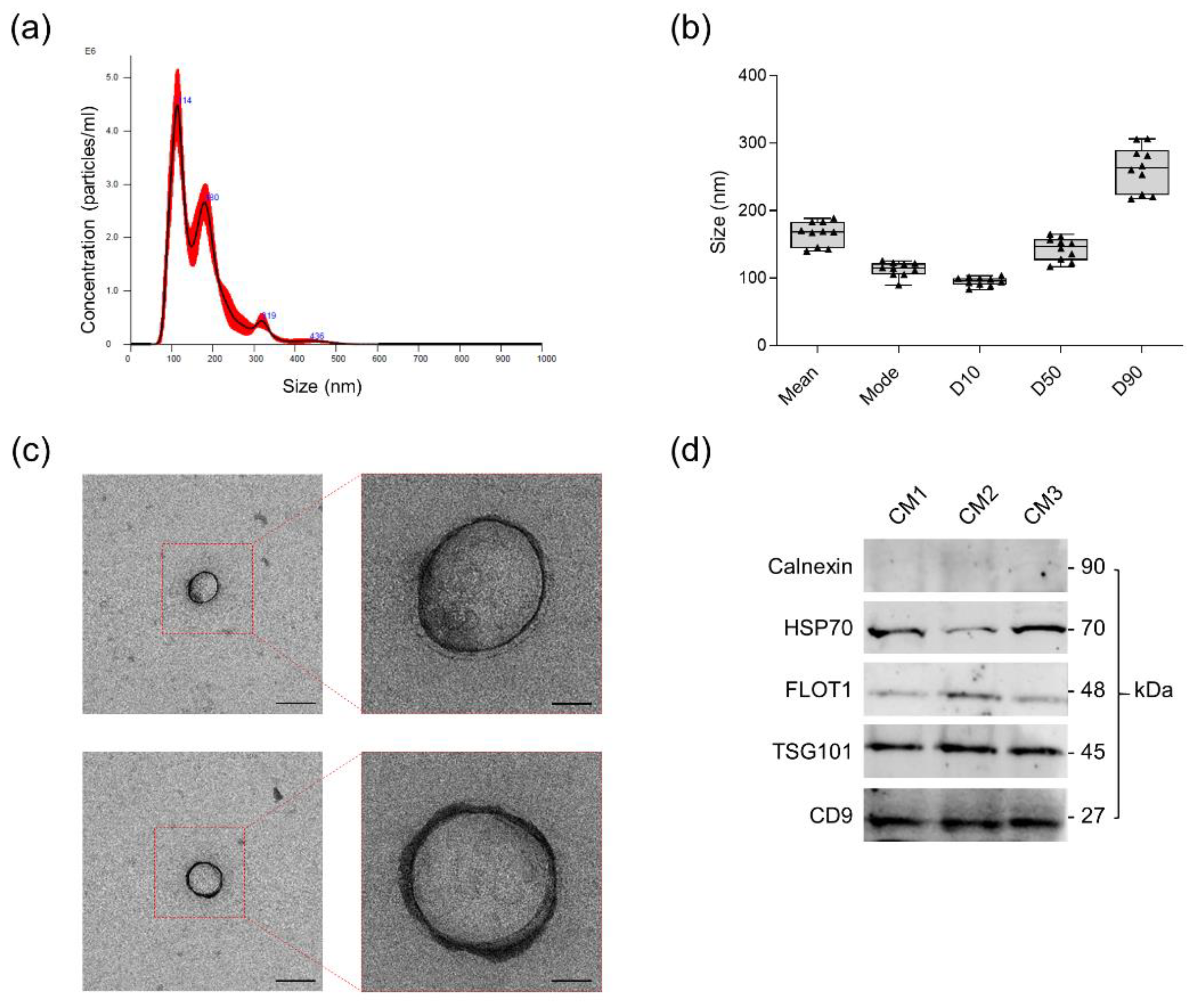 Pharmaceutics 14 01231 g002 Pharmaceutics 14 01231 g002