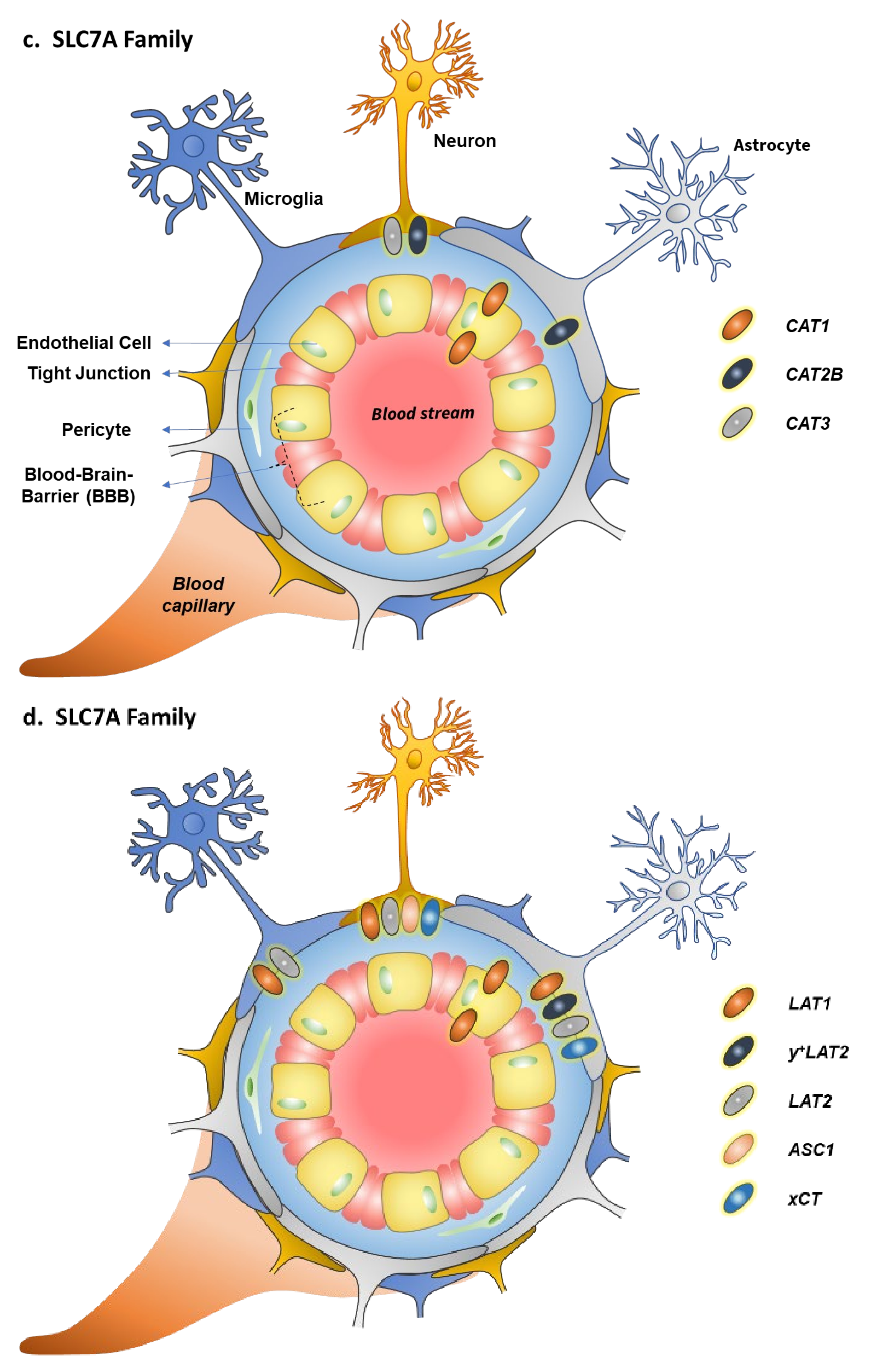 Pharmaceutics 14 01234 g001b Pharmaceutics 14 01234 g001b