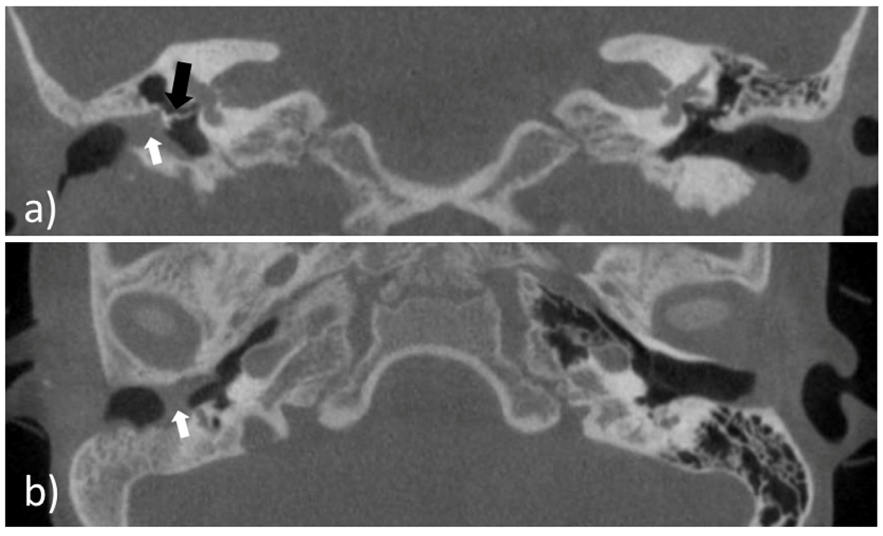 Pharmaceutics 14 01242 g001