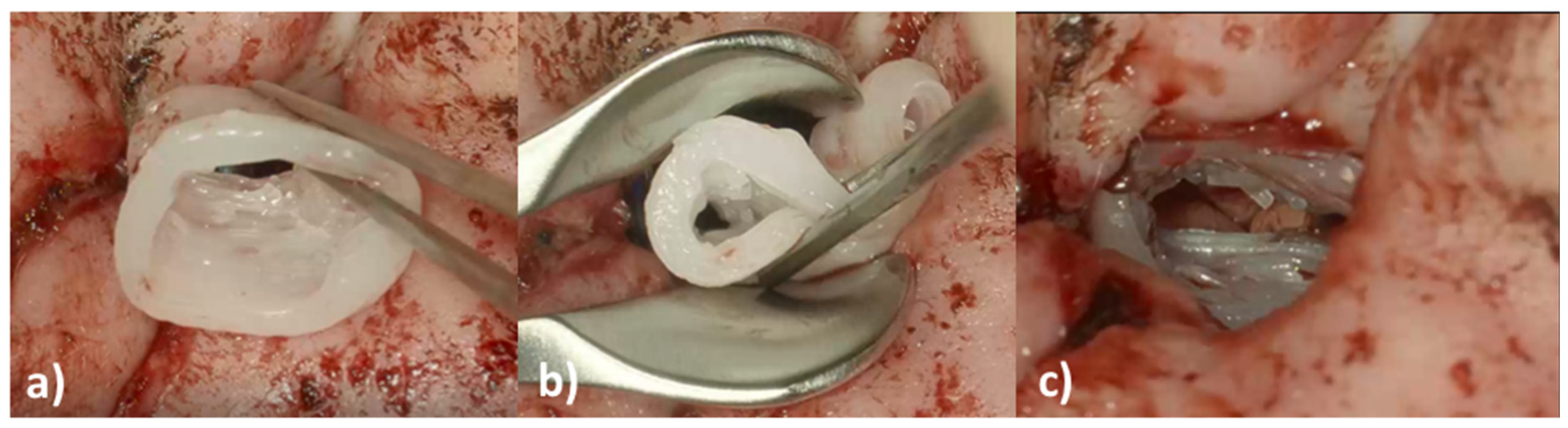 Pharmaceutics 14 01242 g008