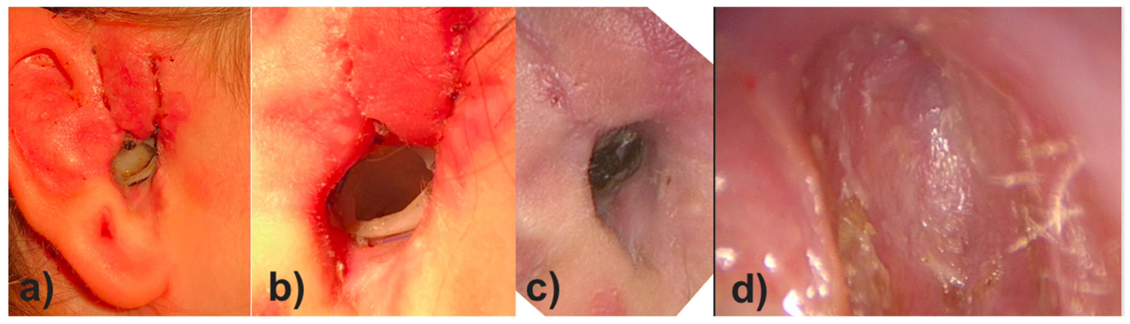 Pharmaceutics 14 01242 g009