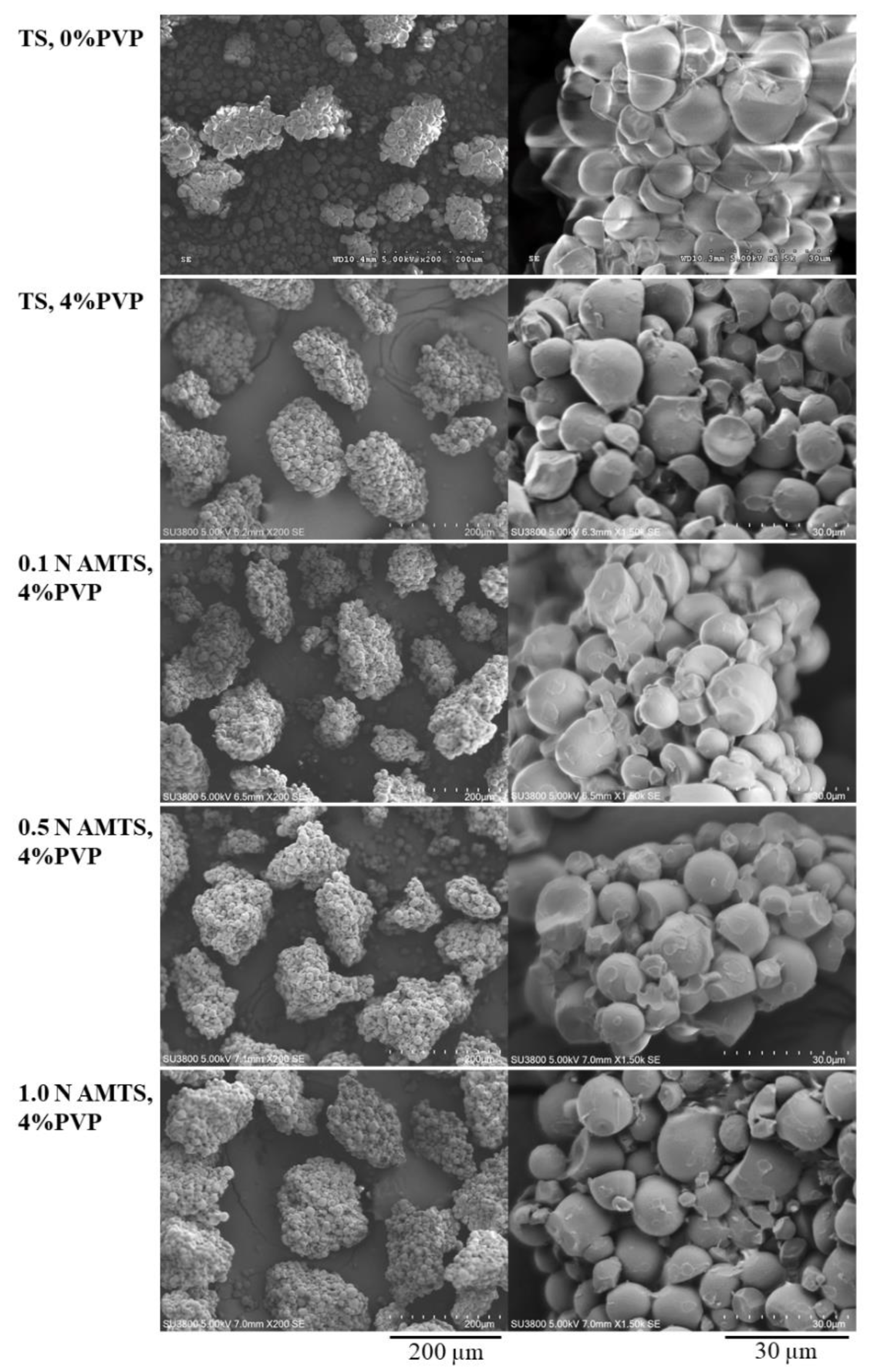Pharmaceutics 14 01245 g001