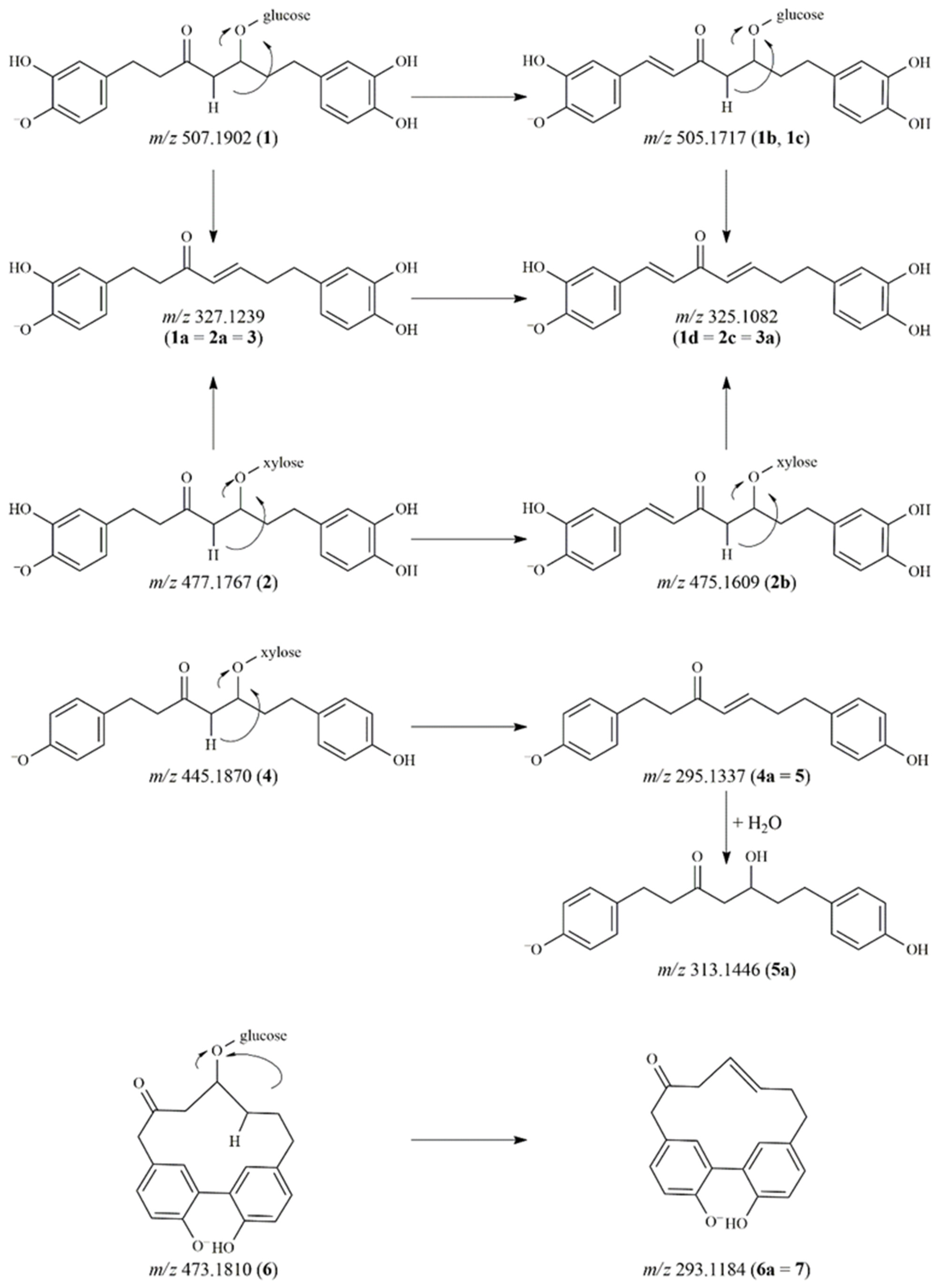 Pharmaceutics 14 01250 g001