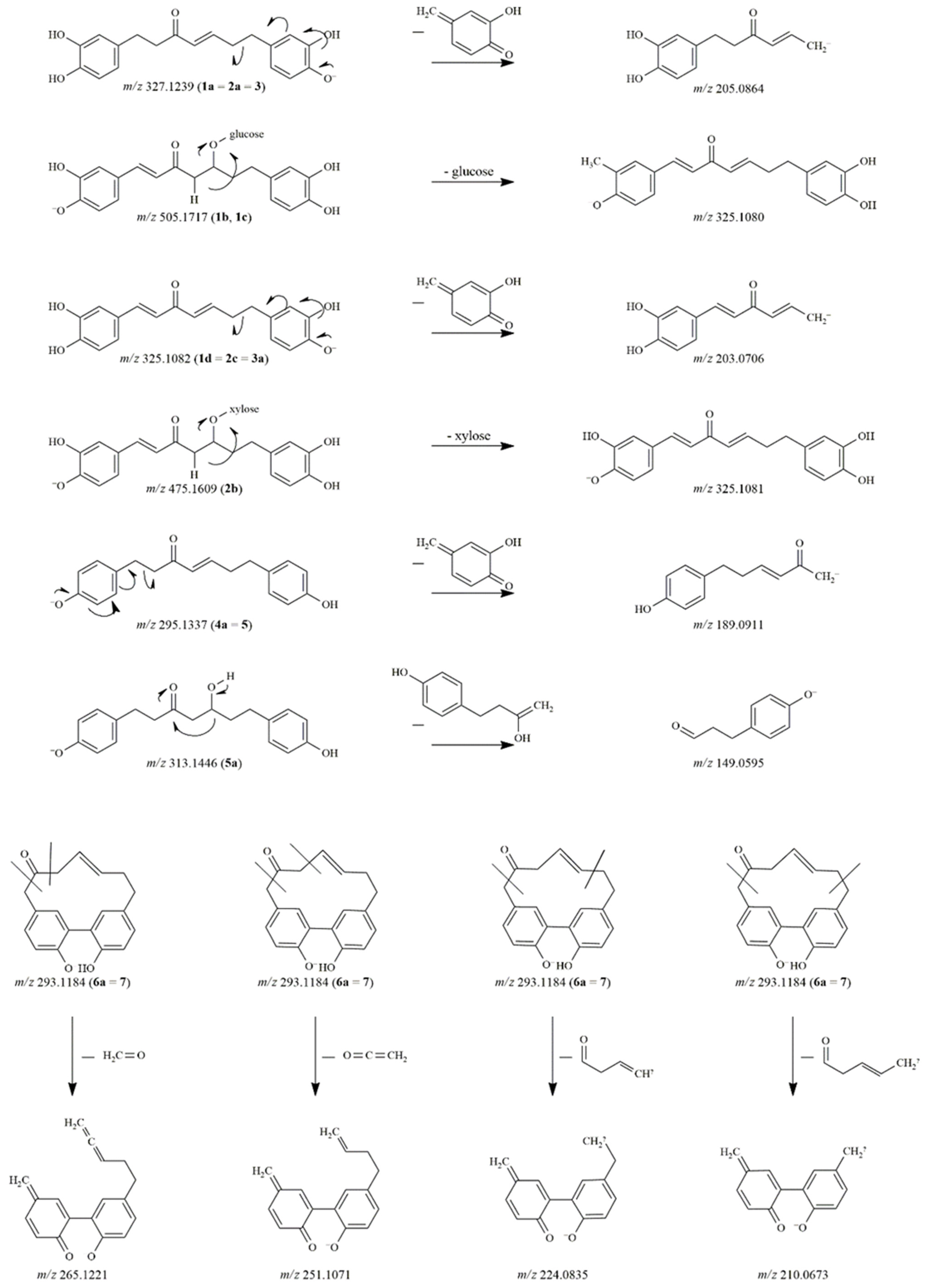 Pharmaceutics 14 01250 g002
