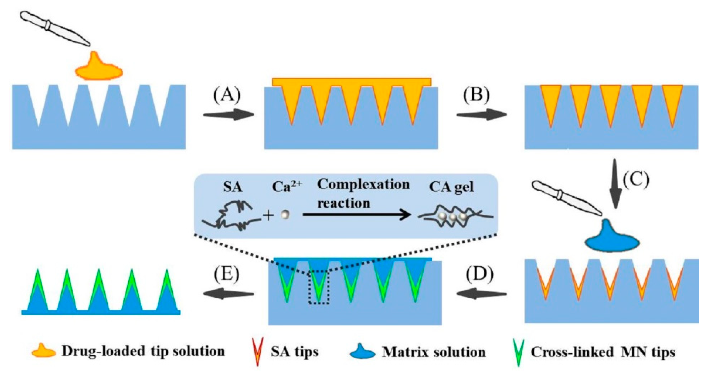 Pharmaceutics 14 01255 g001