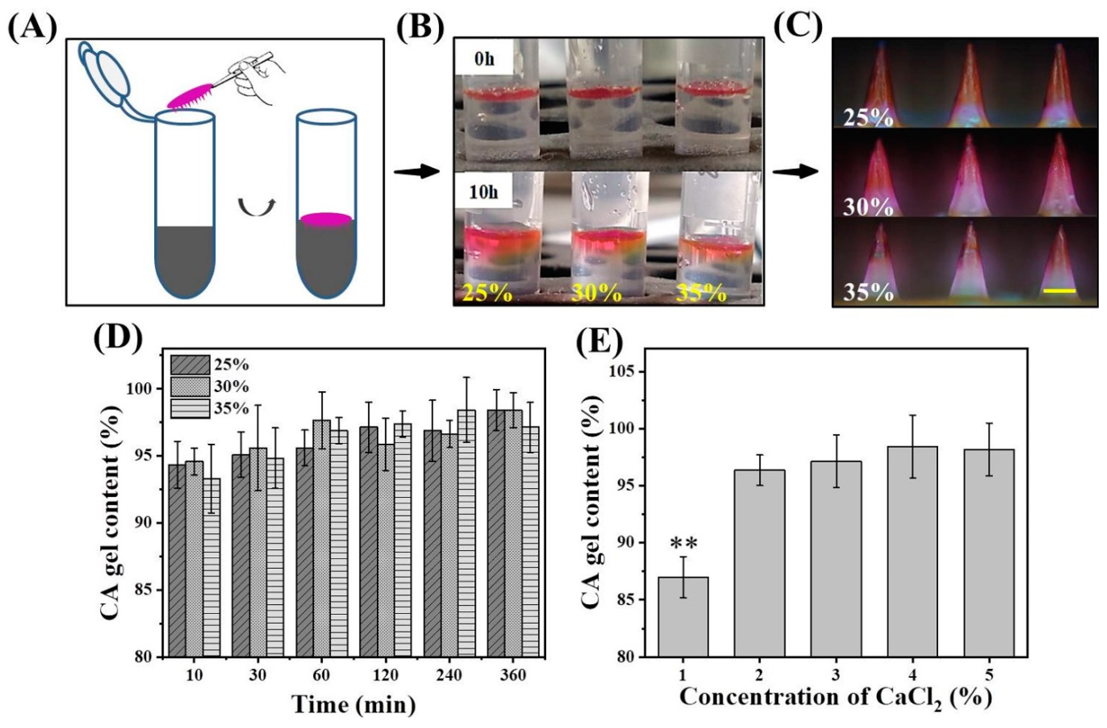 Pharmaceutics 14 01255 g002