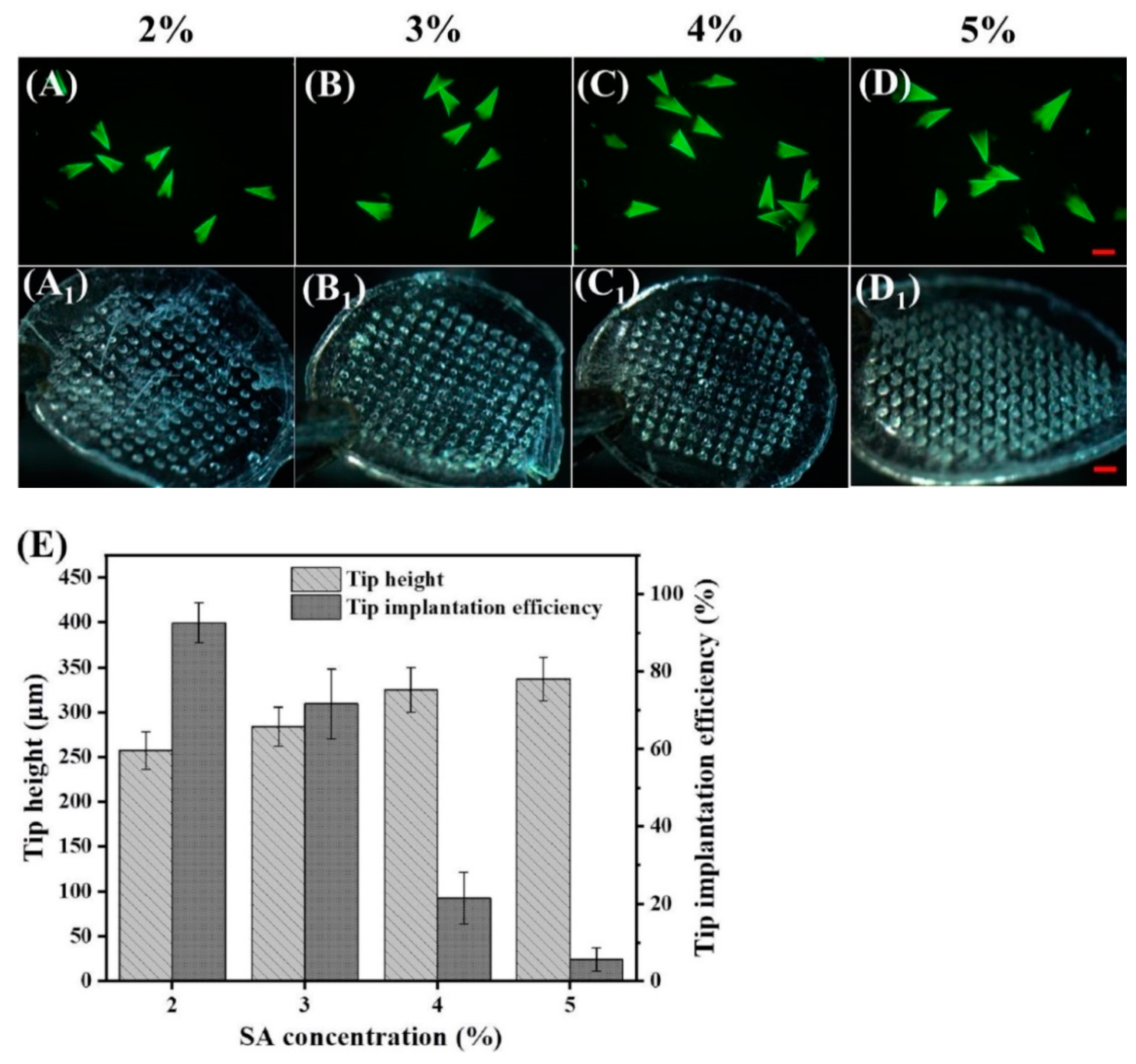 Pharmaceutics 14 01255 g003