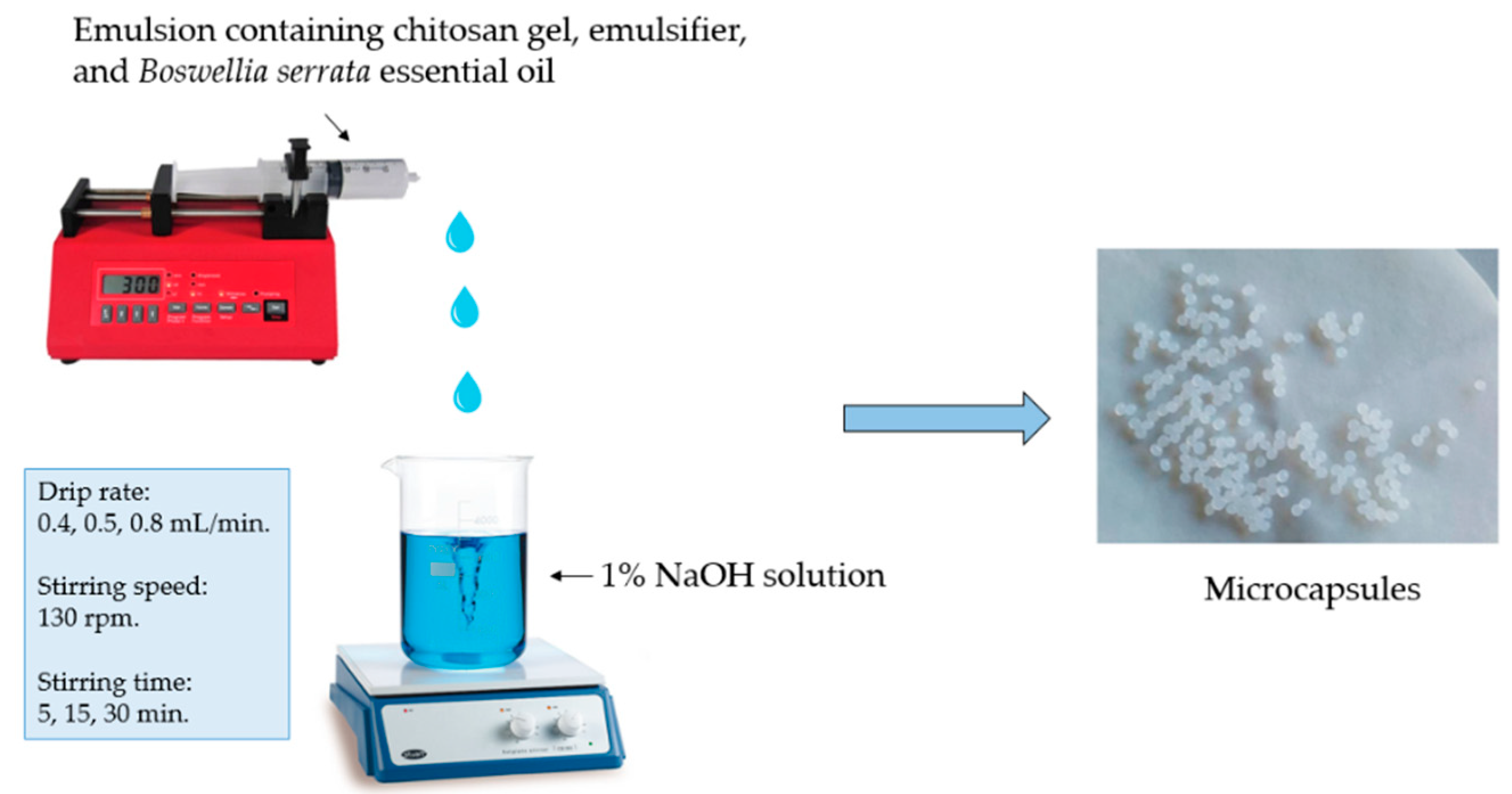 Pharmaceutics 14 01259 g001