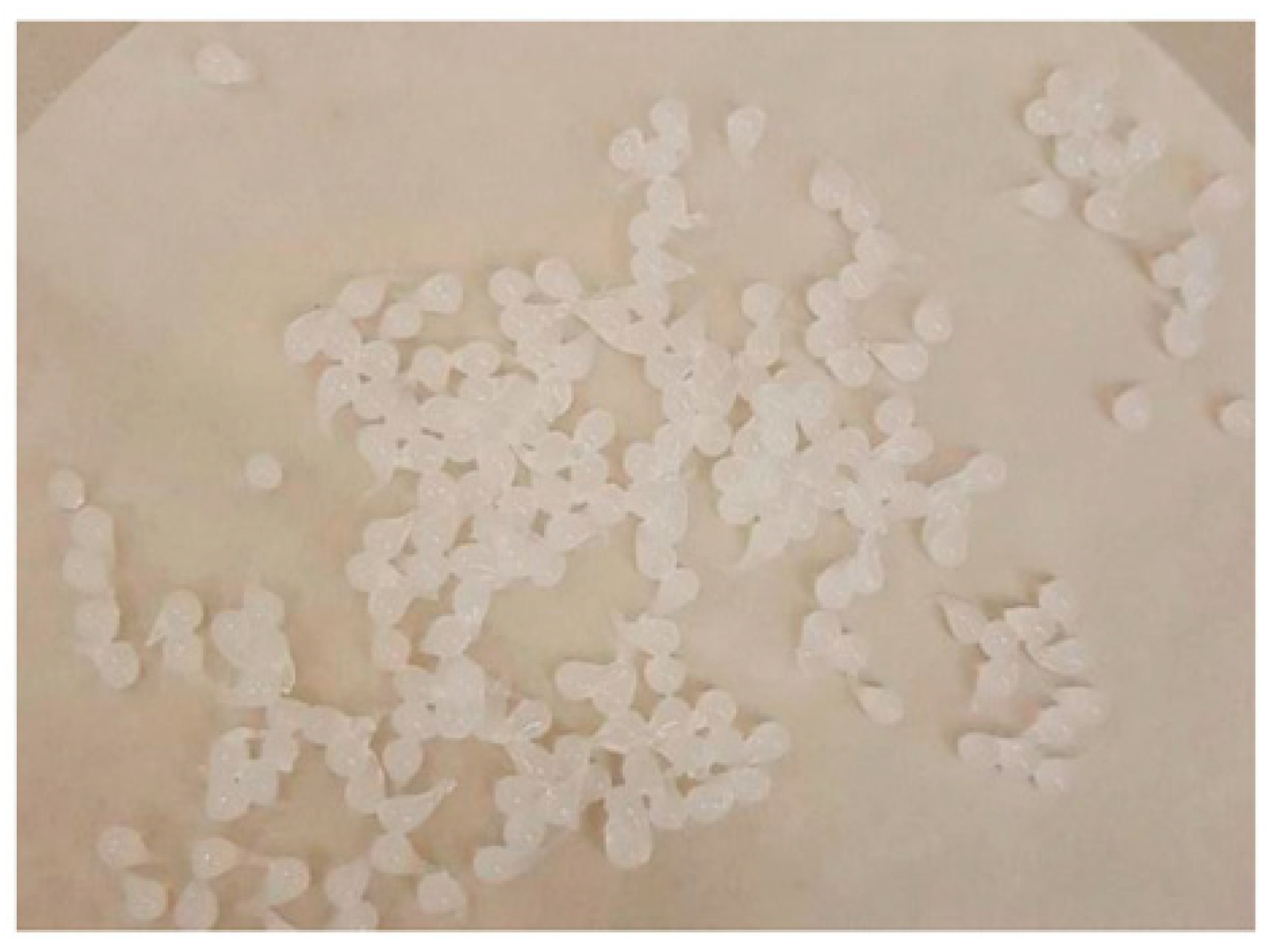 Pharmaceutics 14 01259 g008