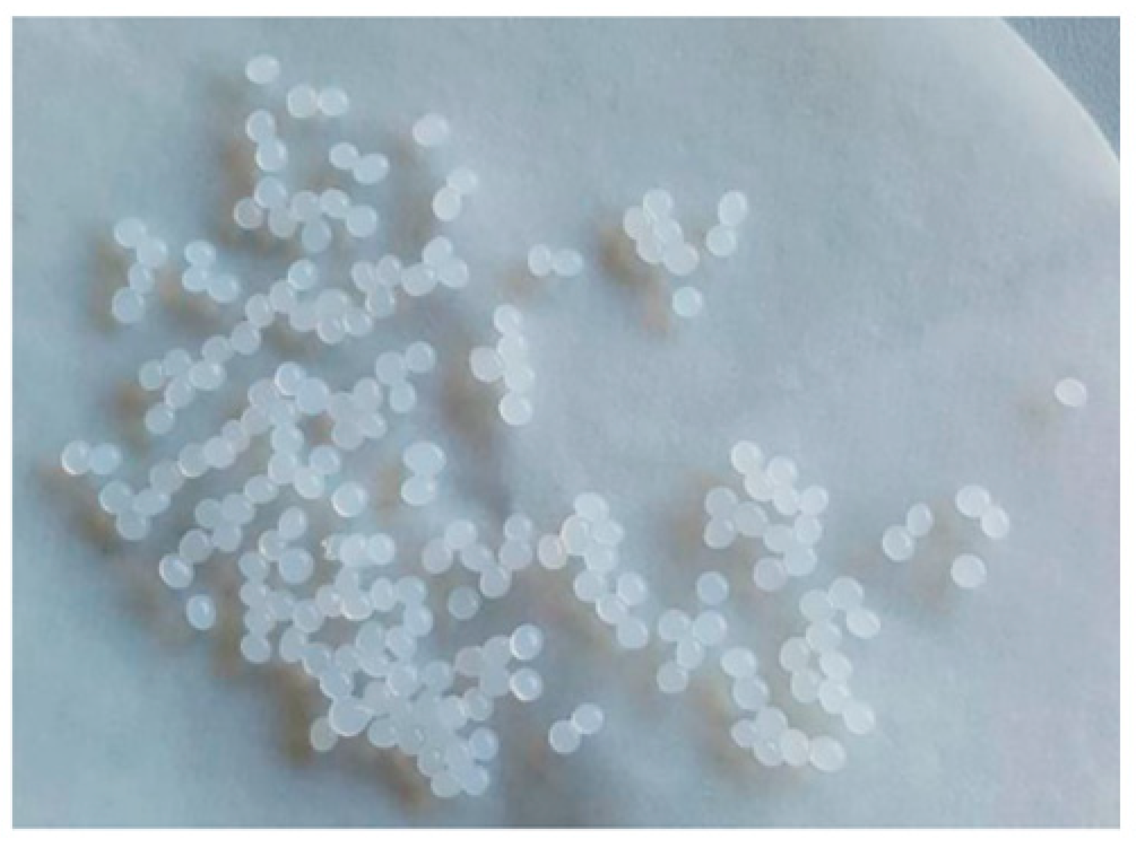 Pharmaceutics 14 01259 g009