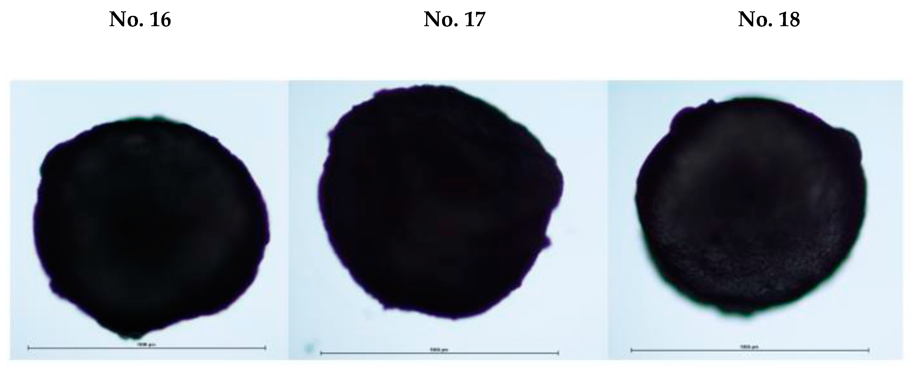 Pharmaceutics 14 01259 g010