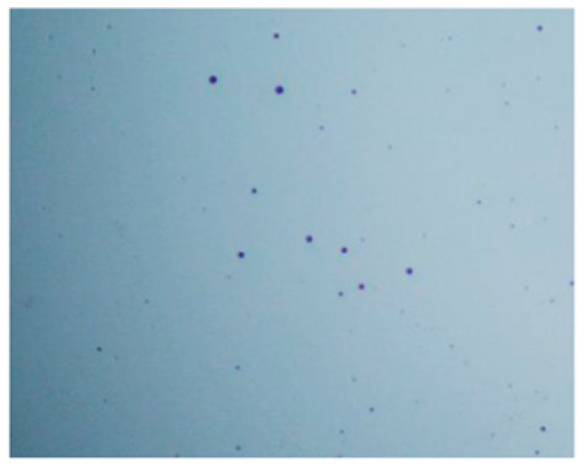 Pharmaceutics 14 01259 g017