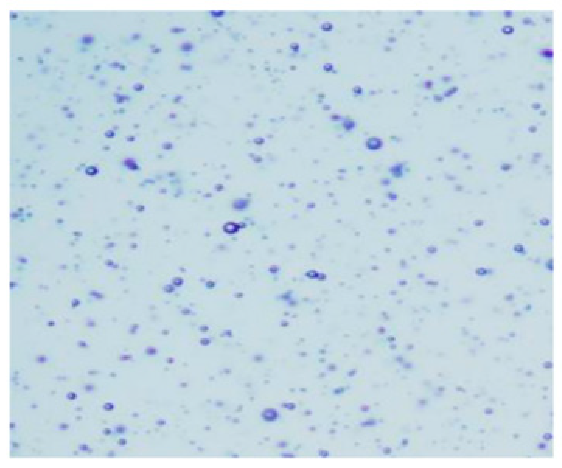 Pharmaceutics 14 01259 g018