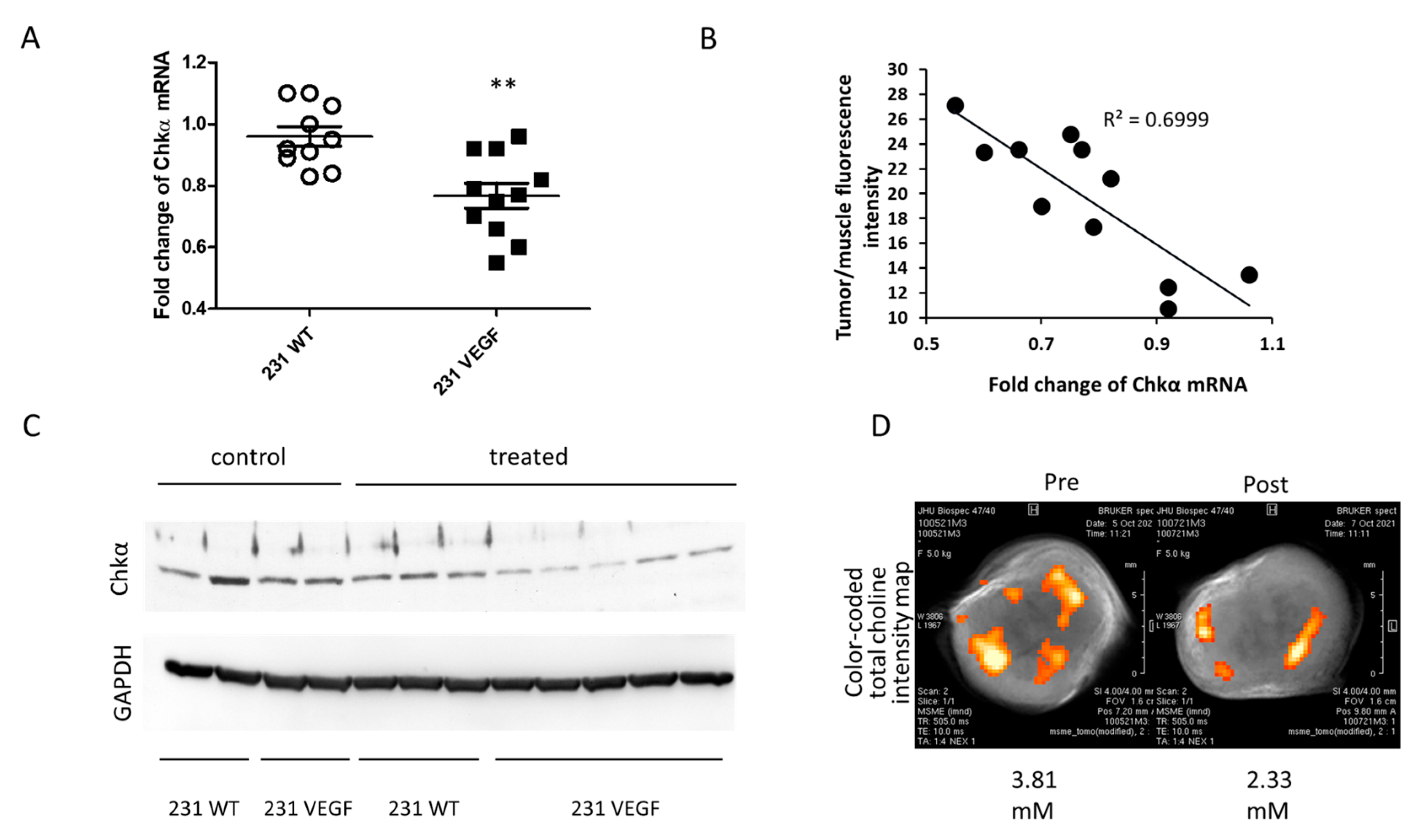 Pharmaceutics 14 01260 g005
