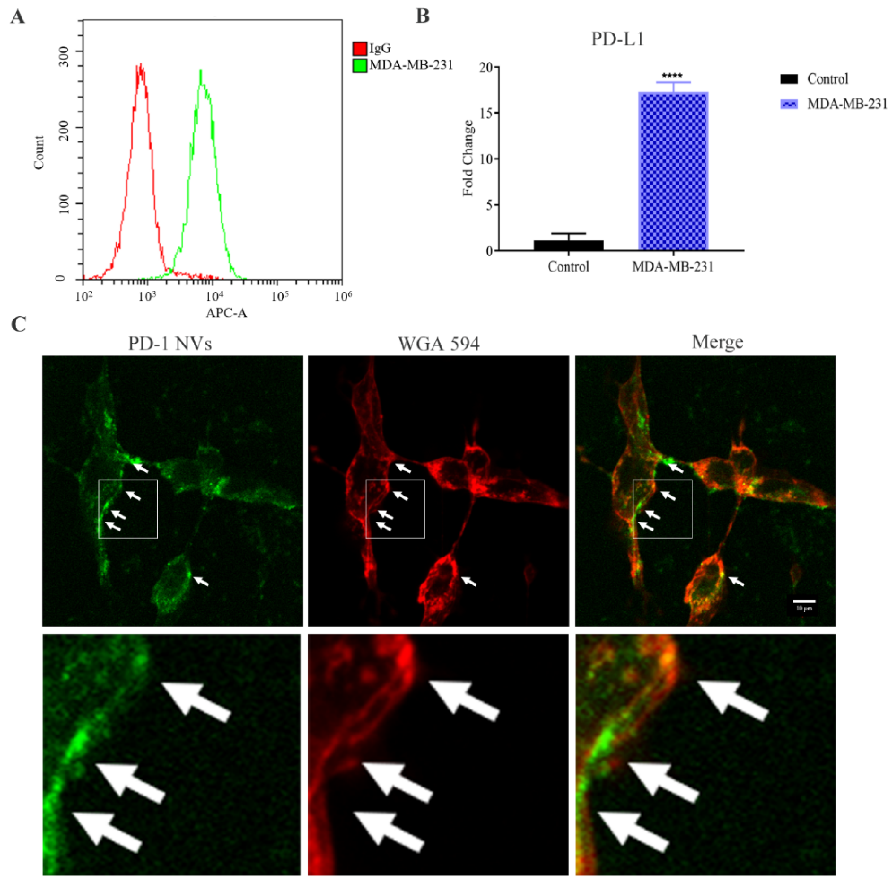 Pharmaceutics 14 01263 g004