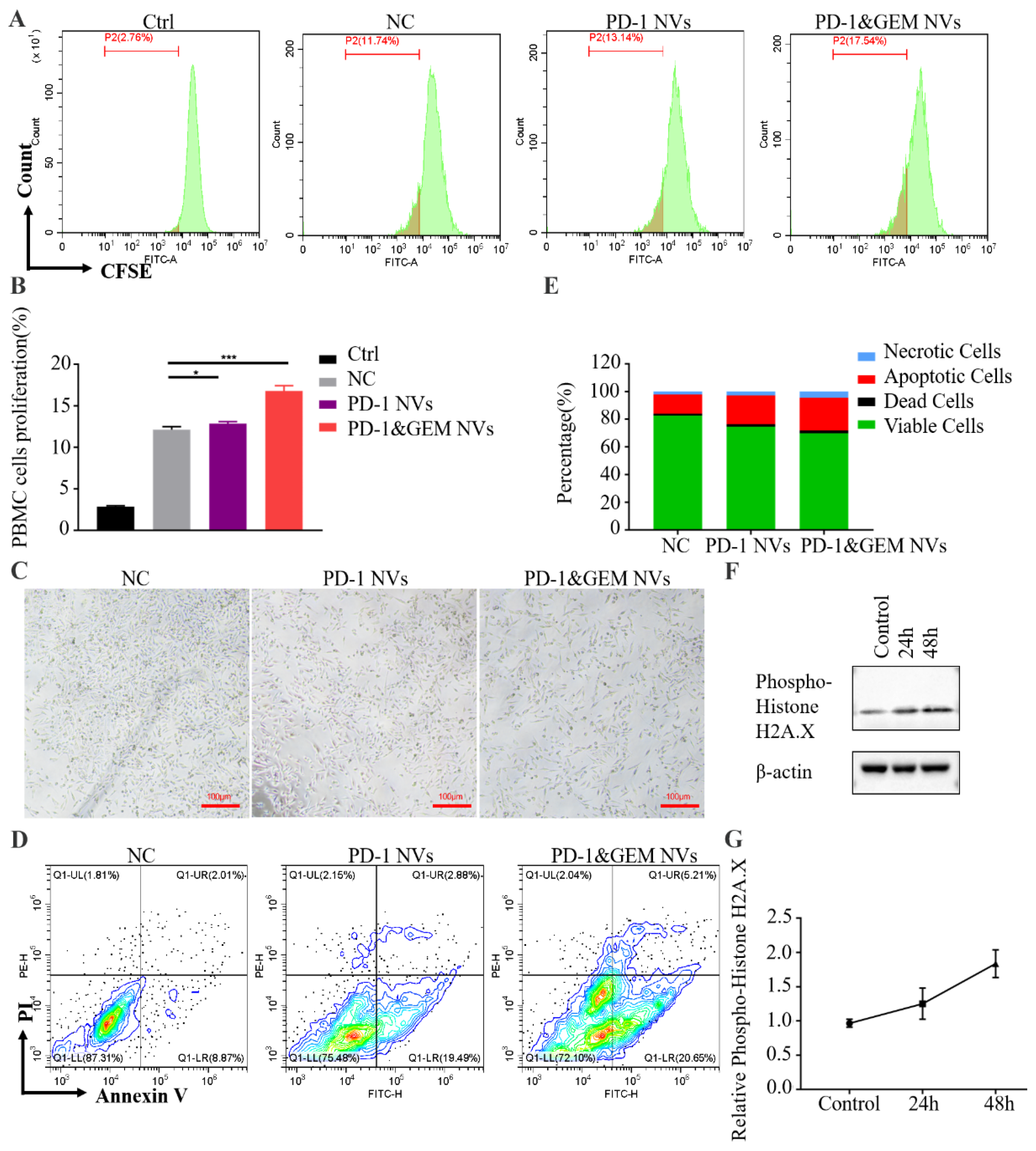 Pharmaceutics 14 01263 g006