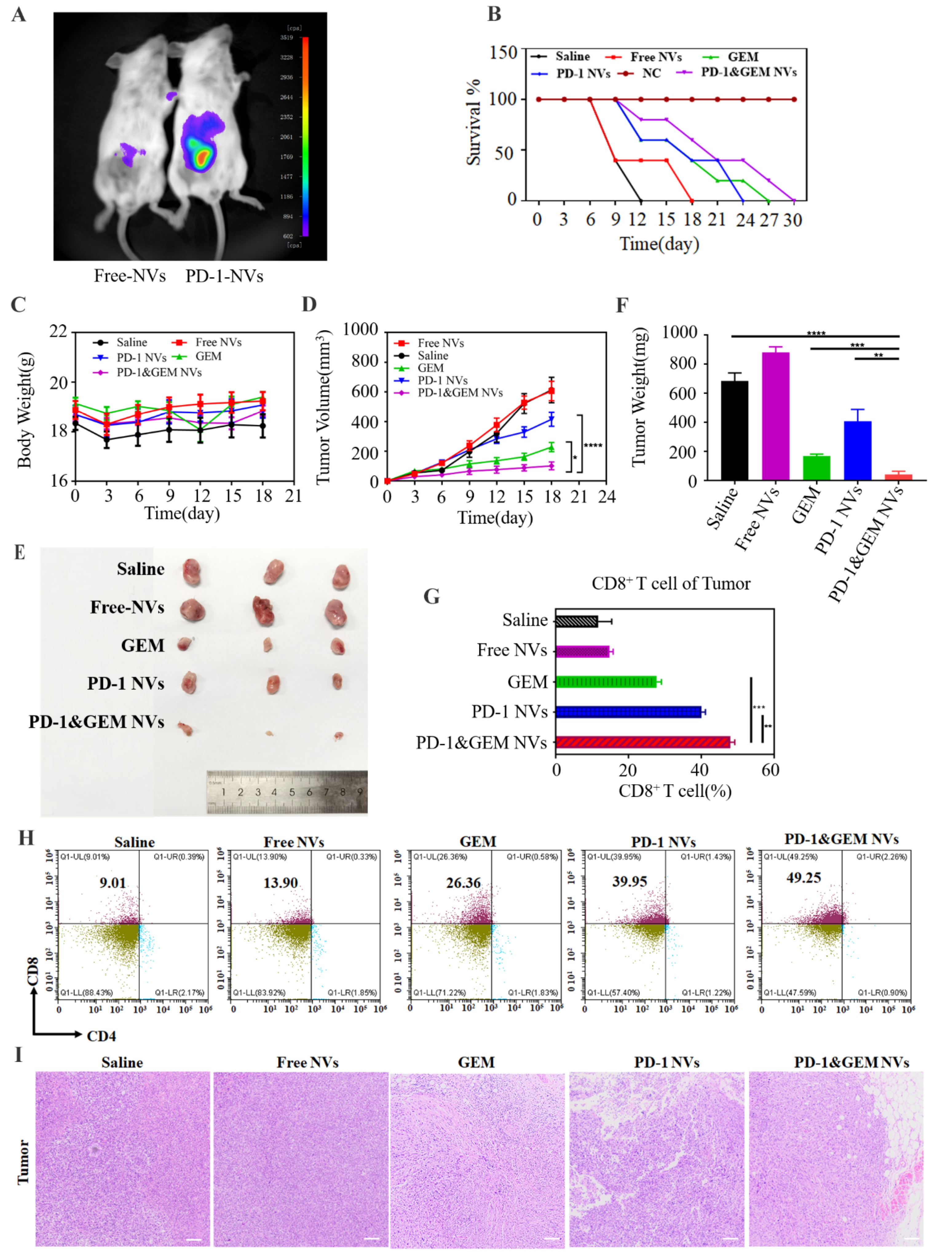 Pharmaceutics 14 01263 g007