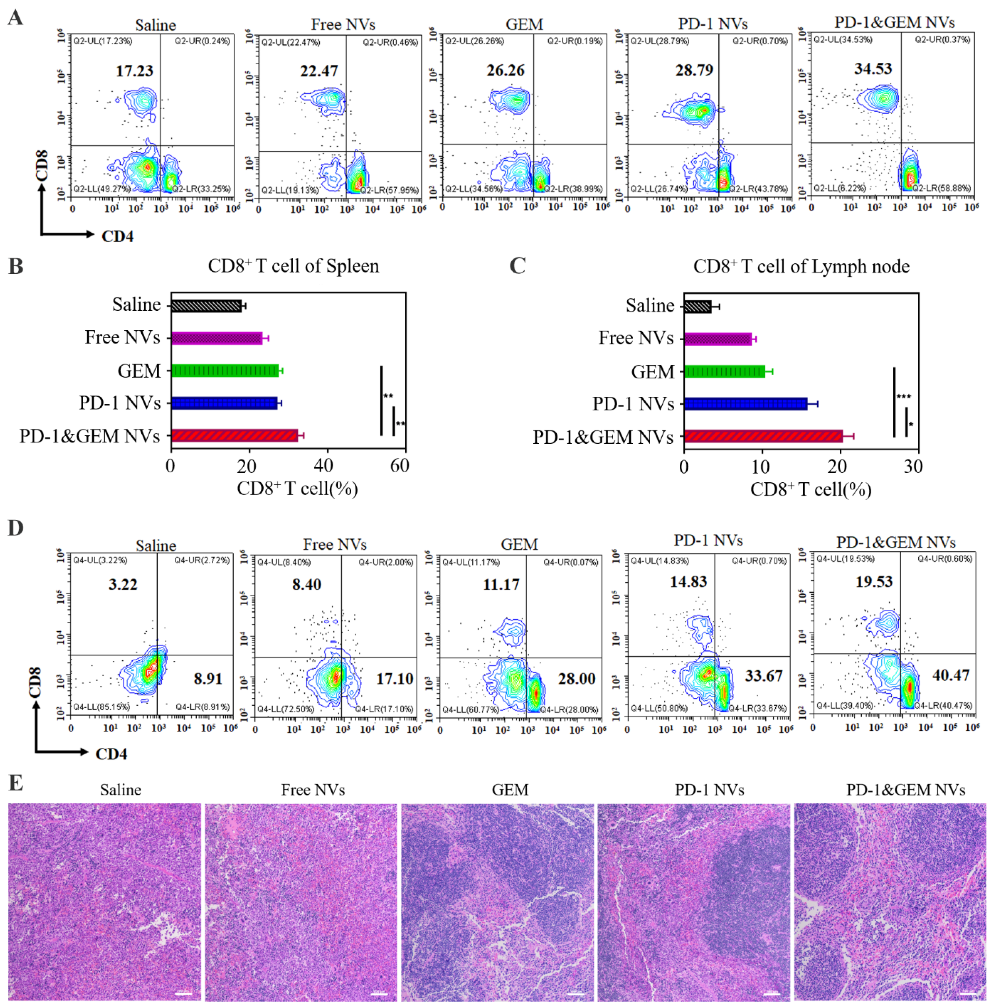 Pharmaceutics 14 01263 g008