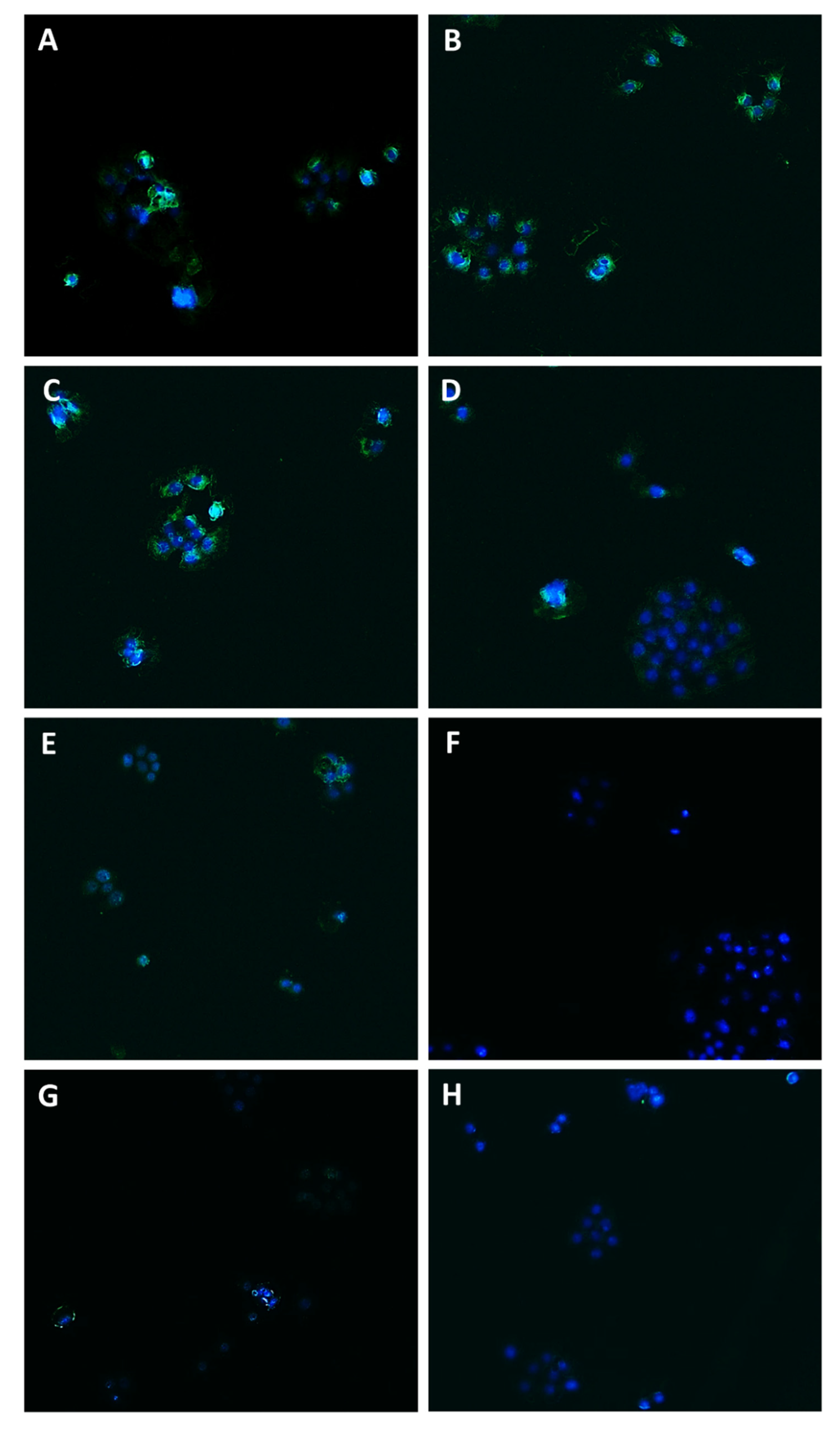Pharmaceutics 14 01264 g009