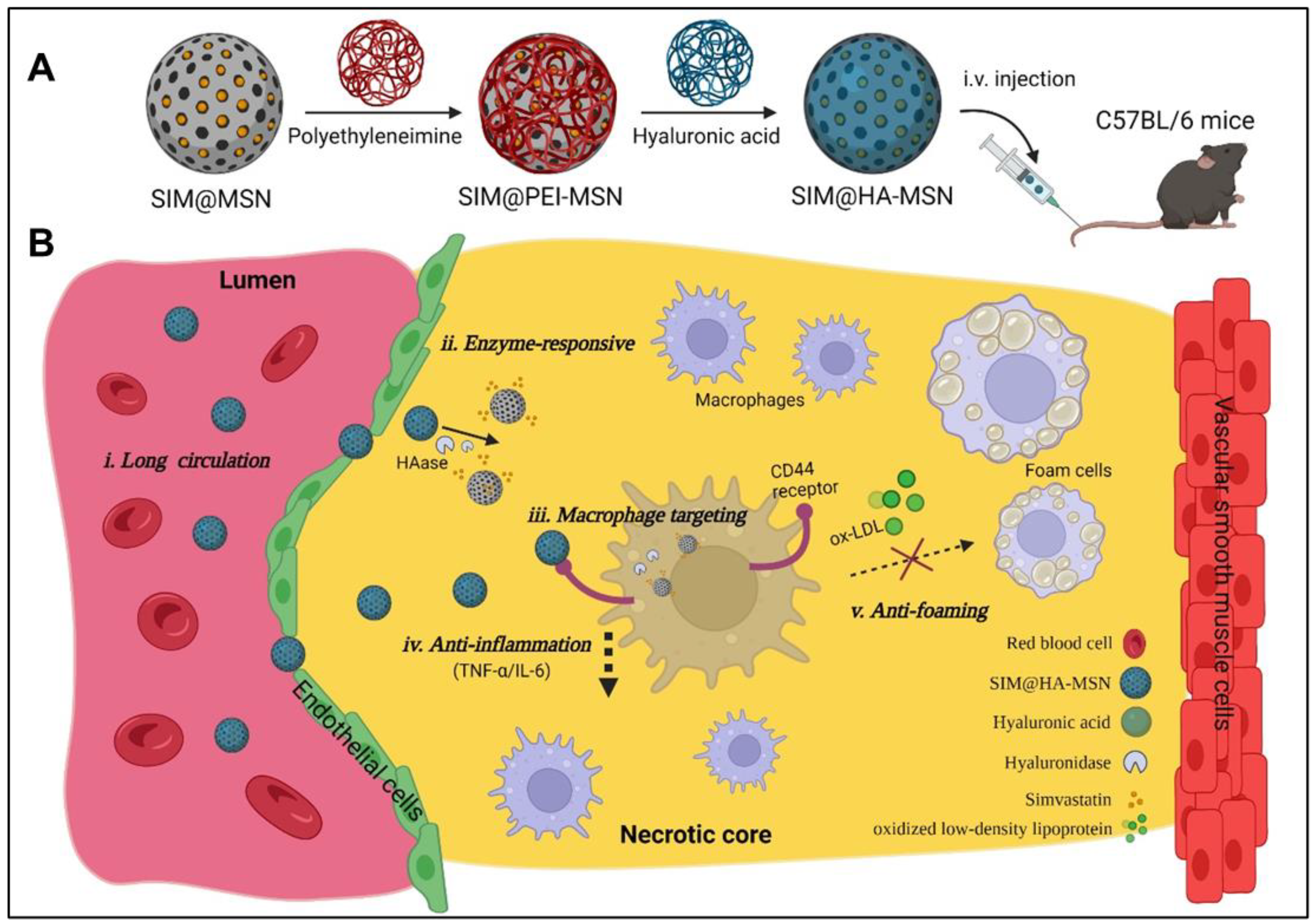 Pharmaceutics 14 01265 g001