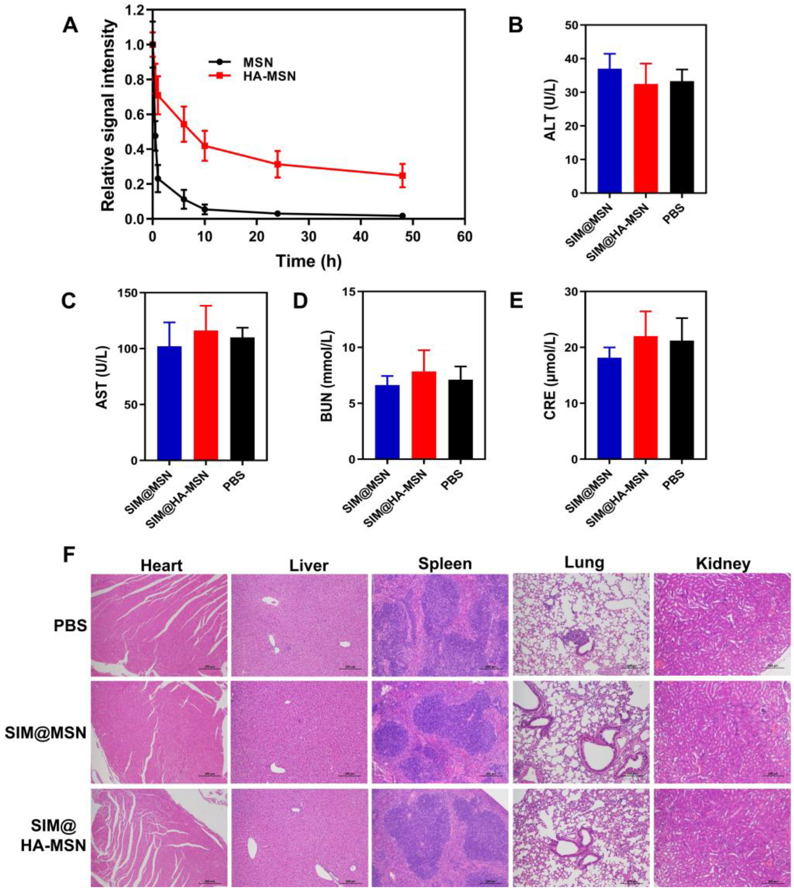 Pharmaceutics 14 01265 g007