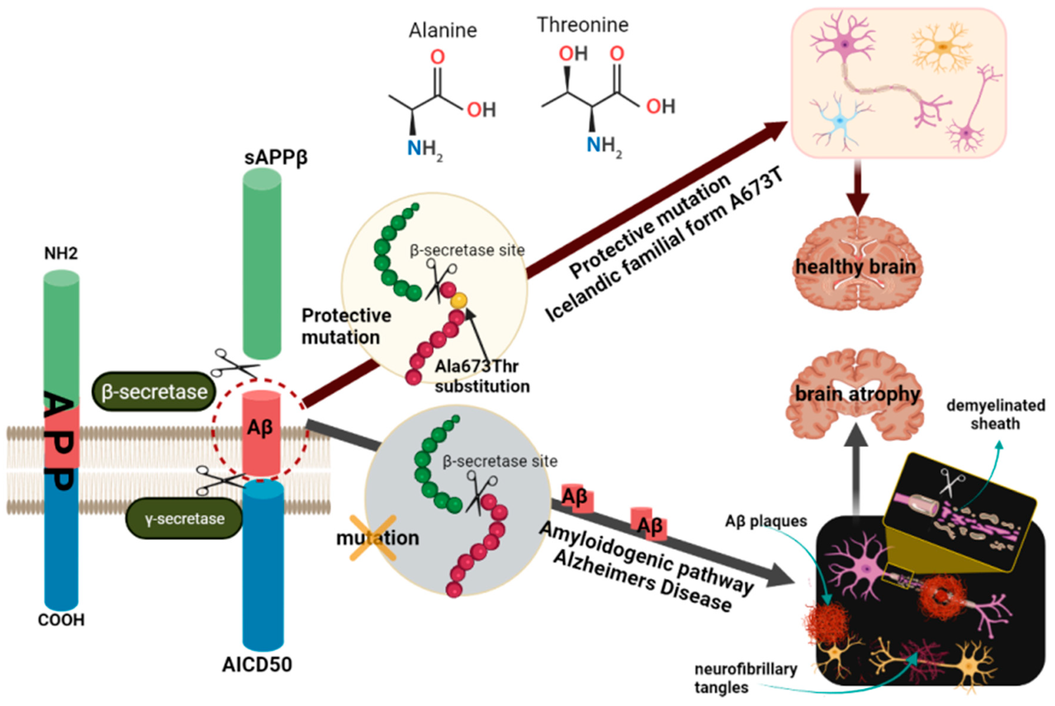 Pharmaceutics 14 01270 g002