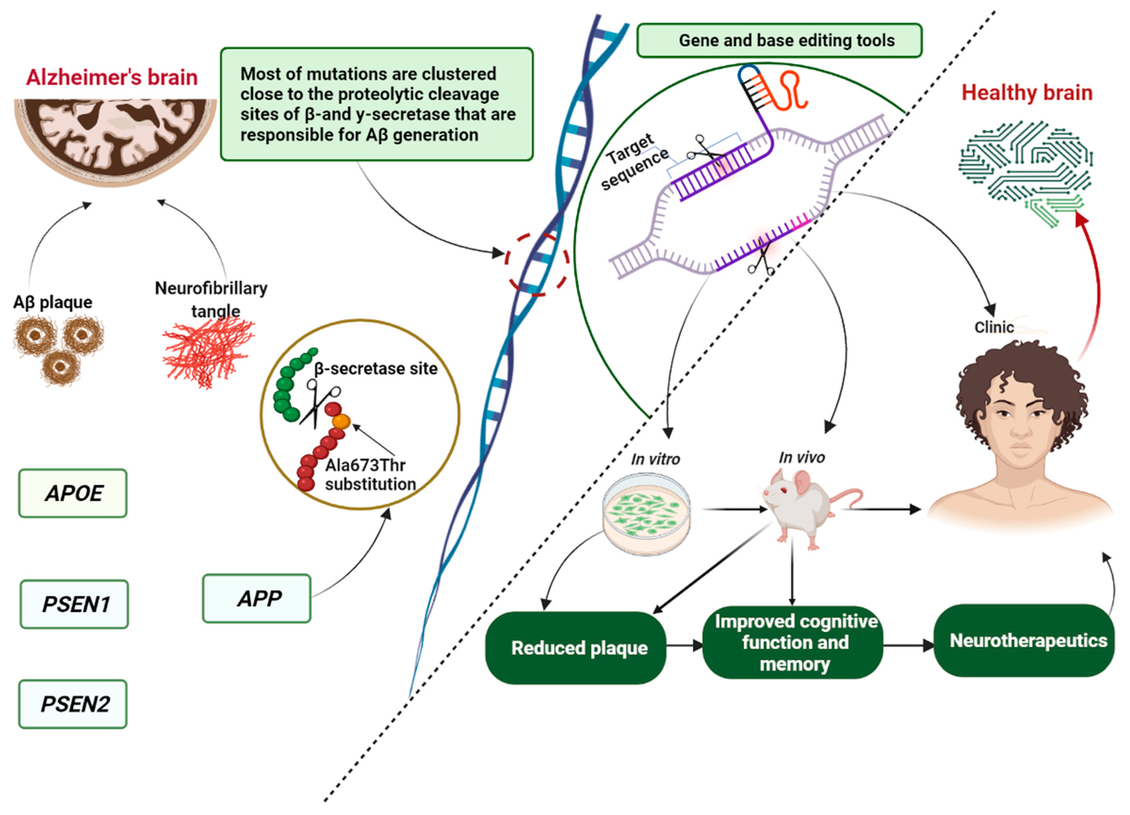 Pharmaceutics 14 01270 g003