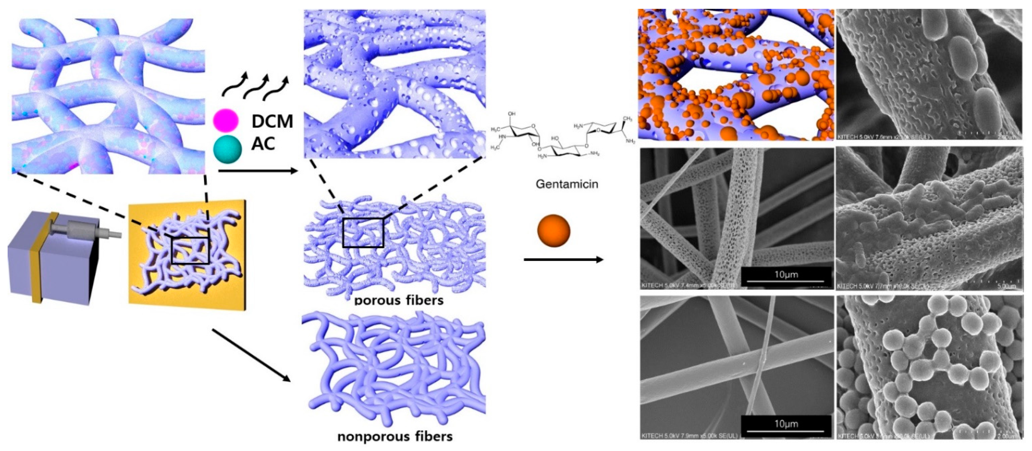 Pharmaceutics 14 01272 g001