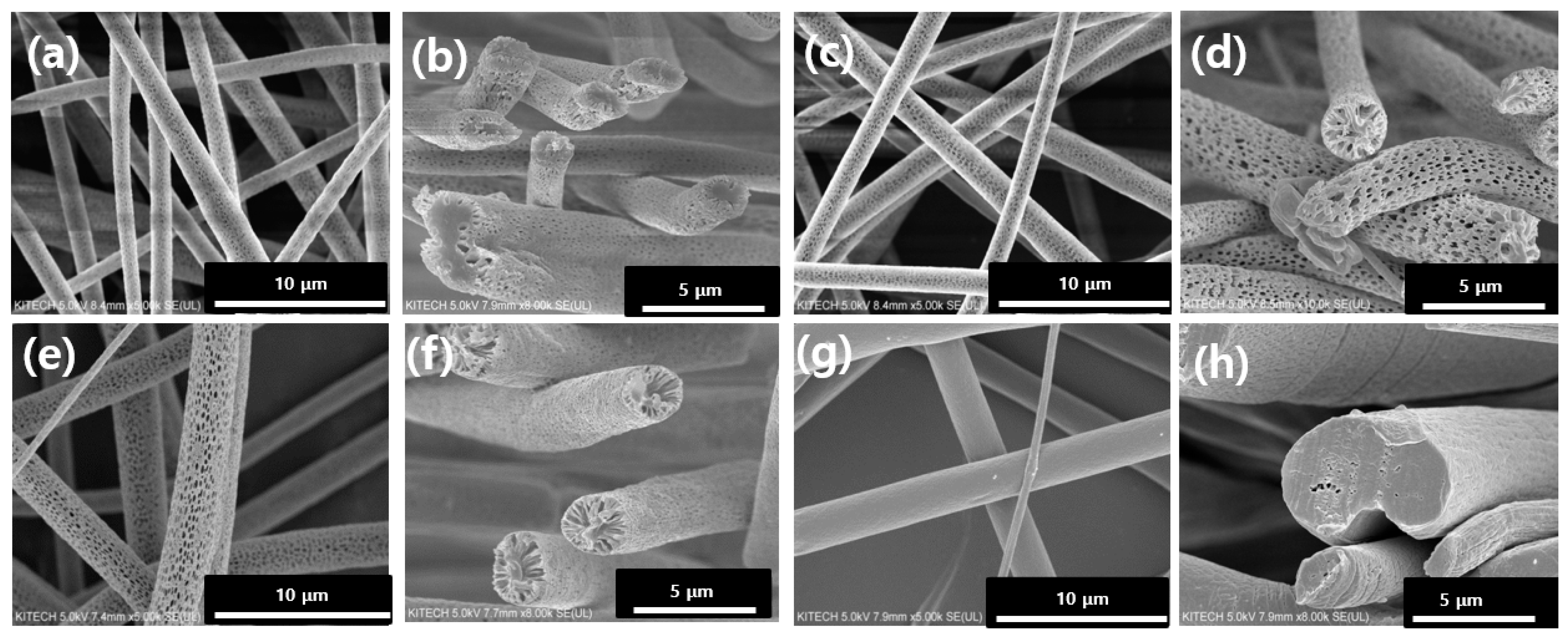 Pharmaceutics 14 01272 g002