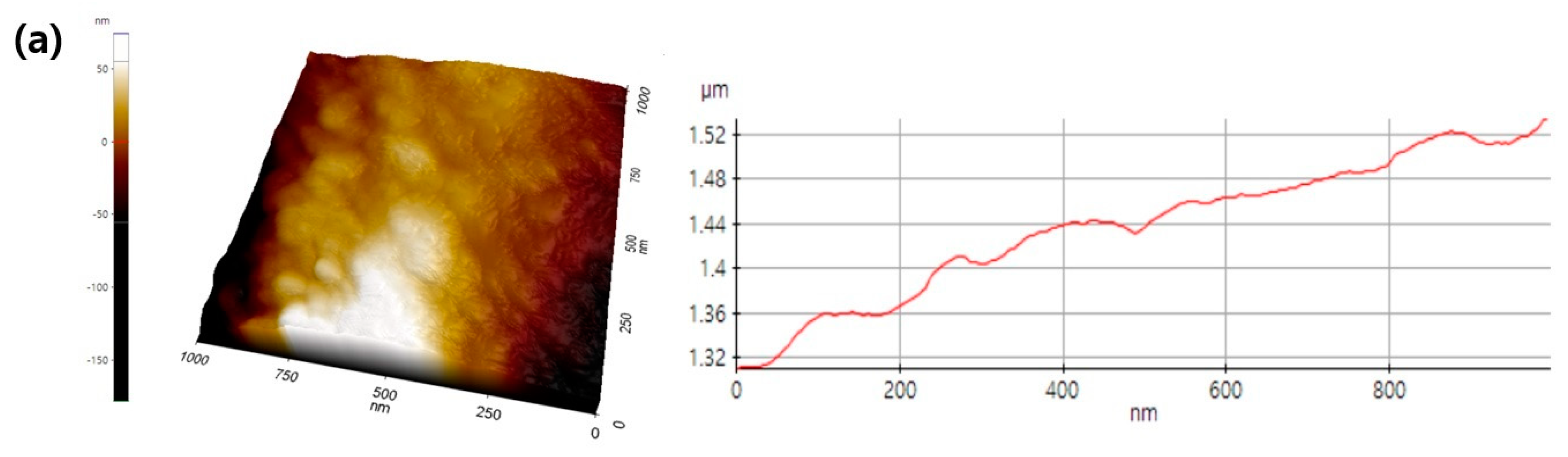 Pharmaceutics 14 01272 g004a