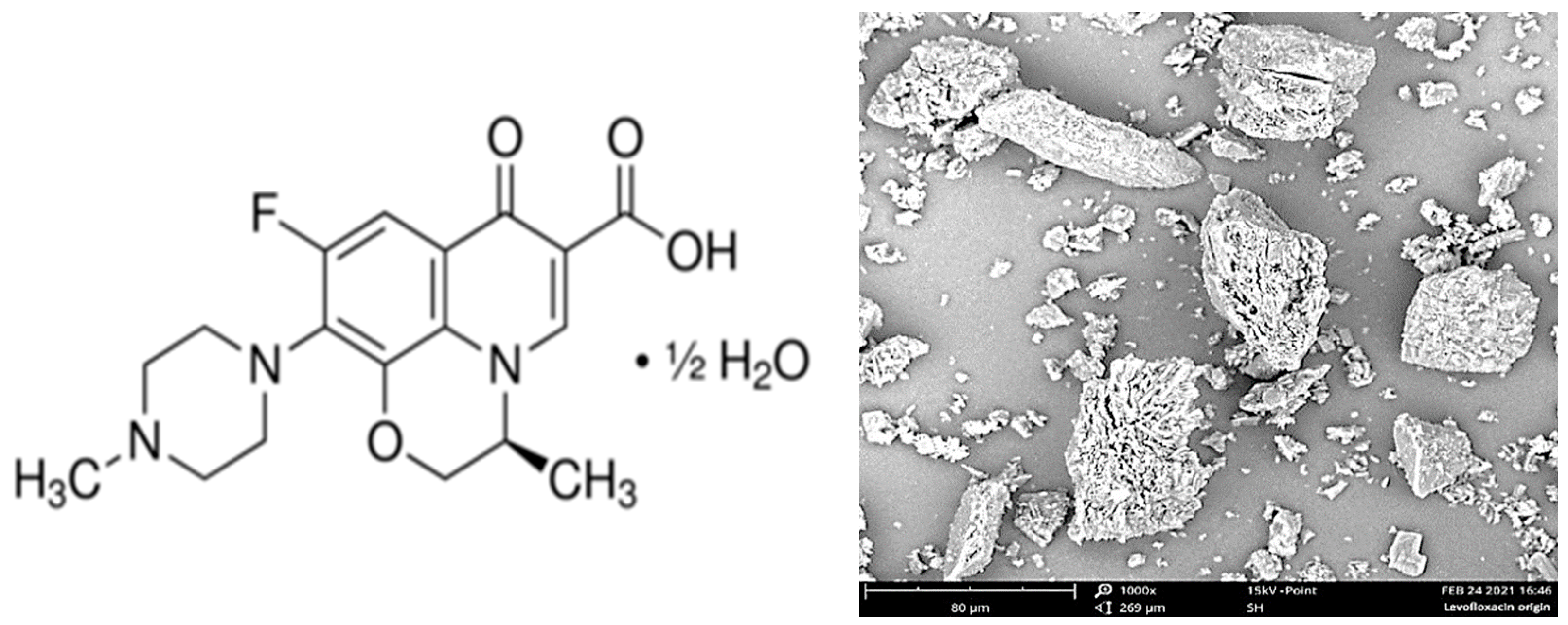 Pharmaceutics 14 01275 g001