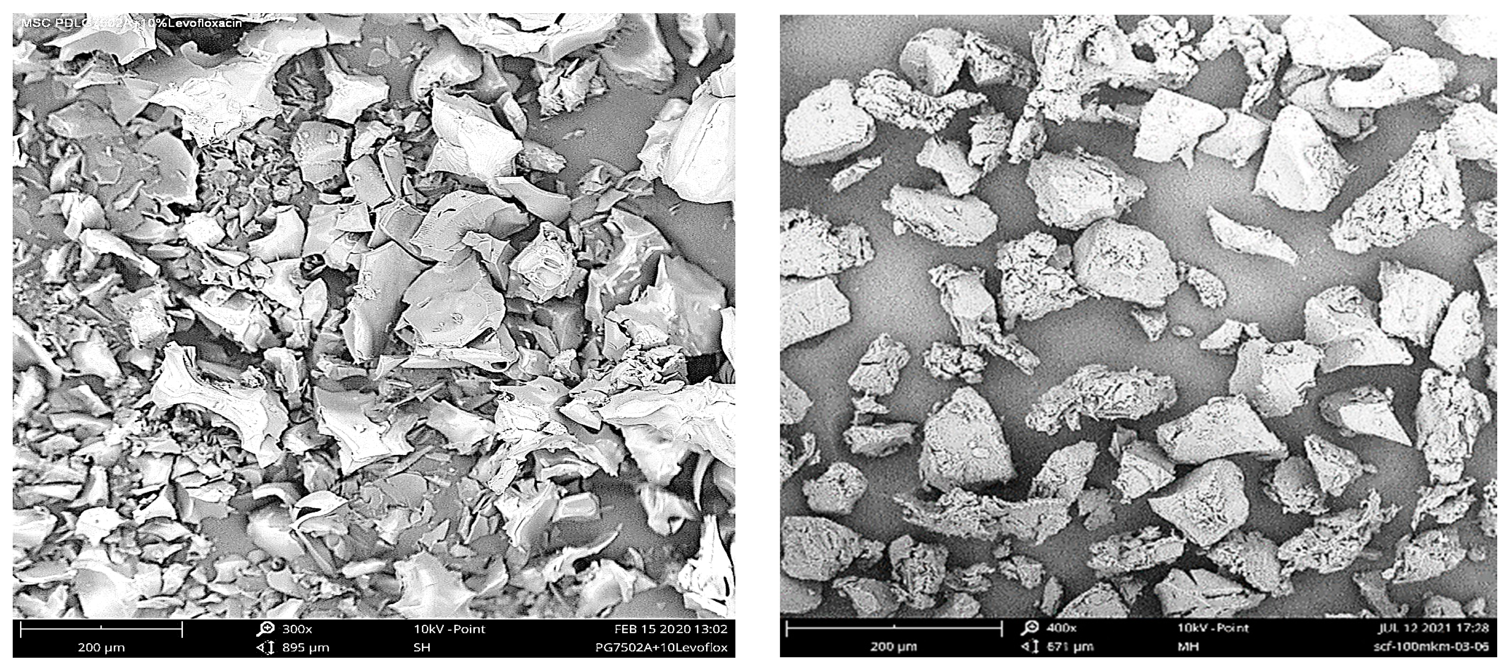 Pharmaceutics 14 01275 g004