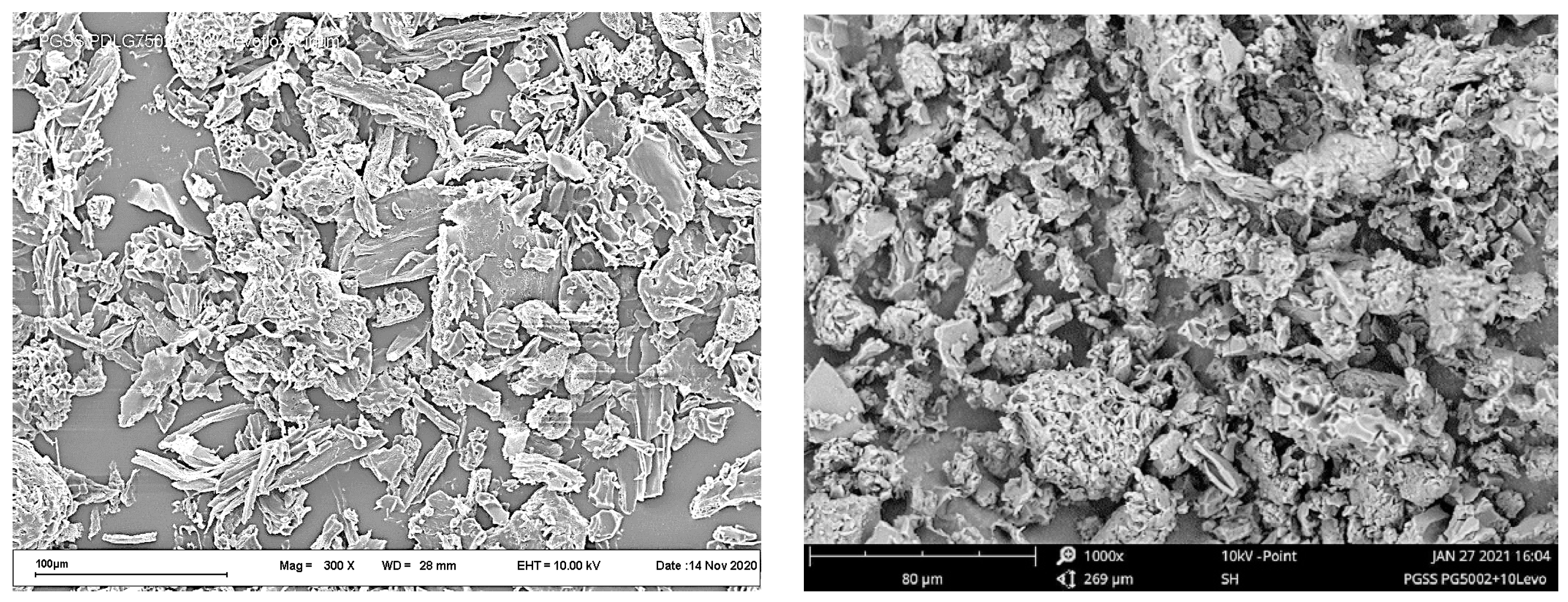 Pharmaceutics 14 01275 g005